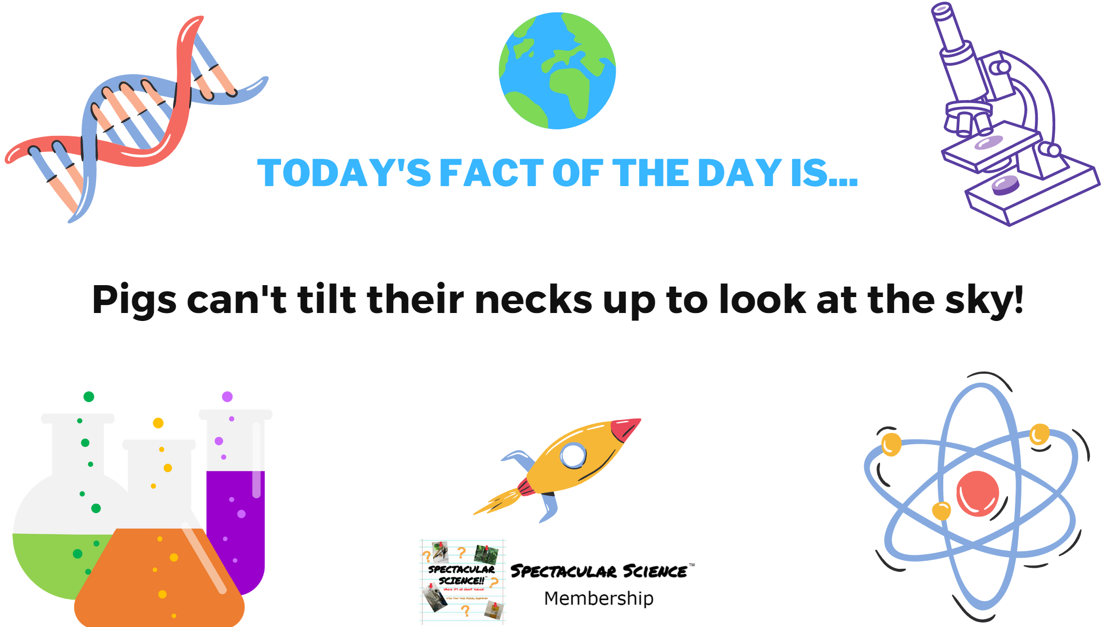 Fact of the Day Image January 5th