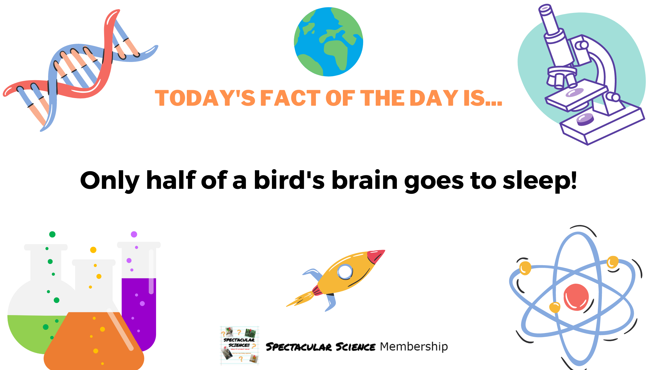 Fact of the Day Image Jan. 5th