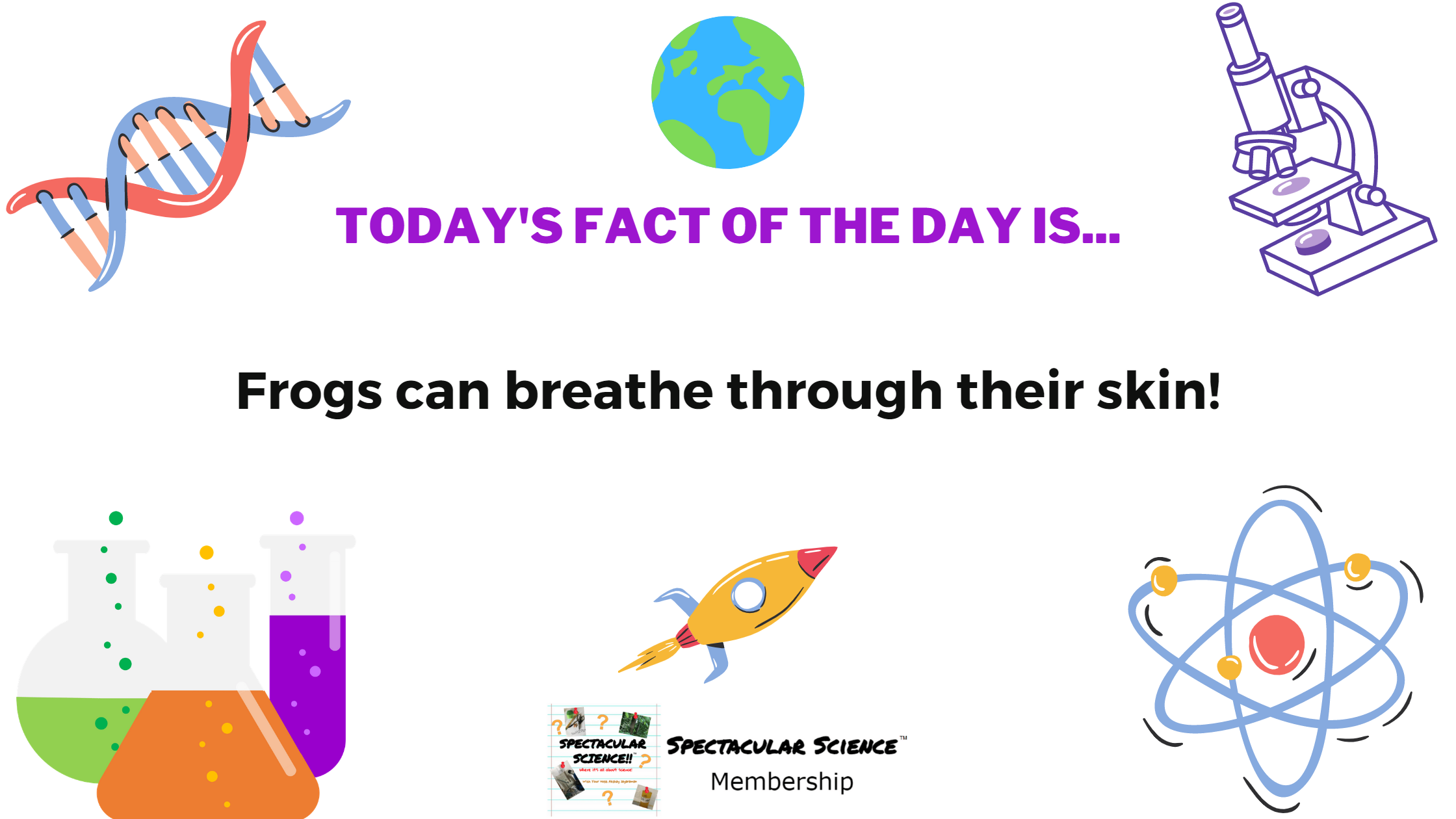Fact of the Day Image January 6th