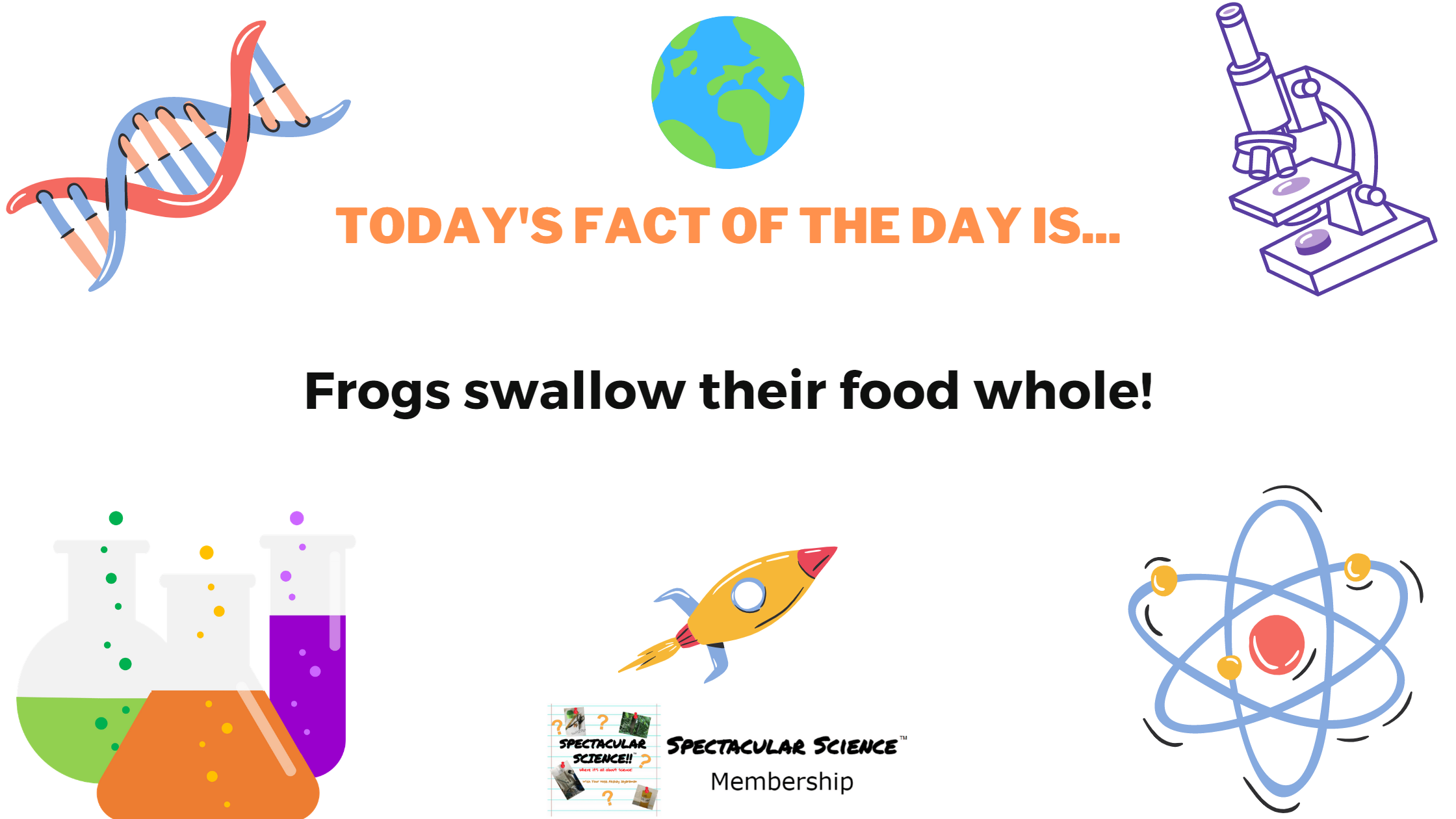 Fact of the Day Image January 7th