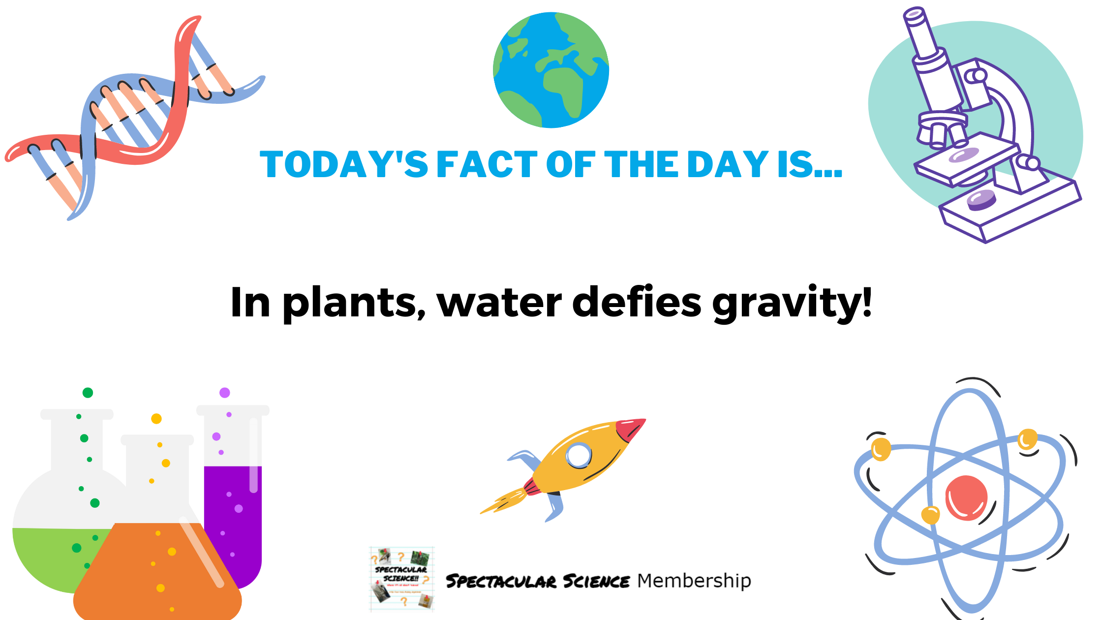 Fact of the Day Image Jan. 8th