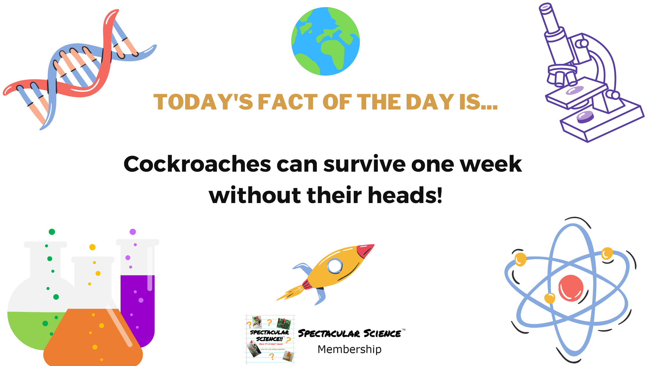 Fact of the Day Image July 1st