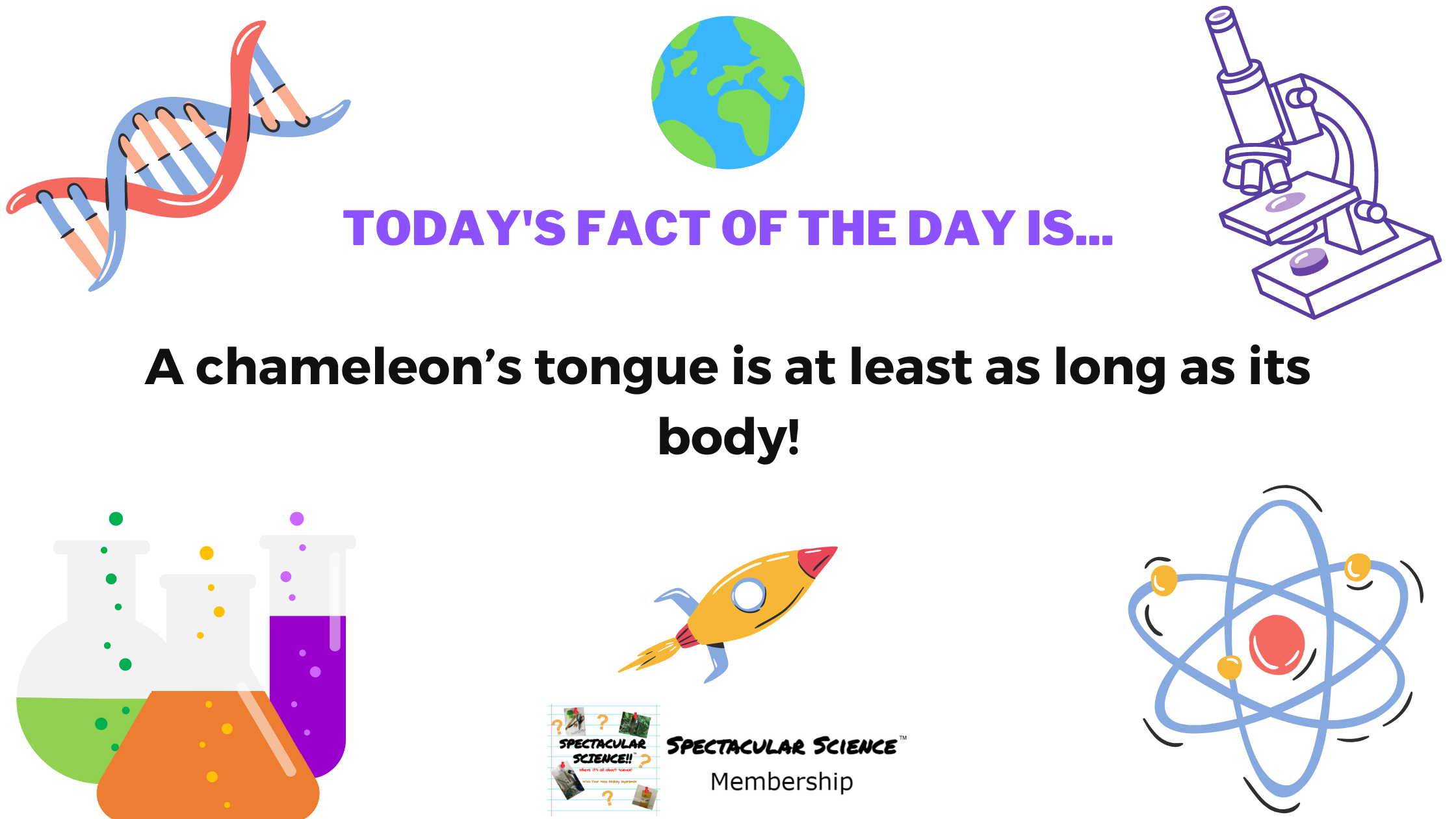 Fact of the Day Image July 19th