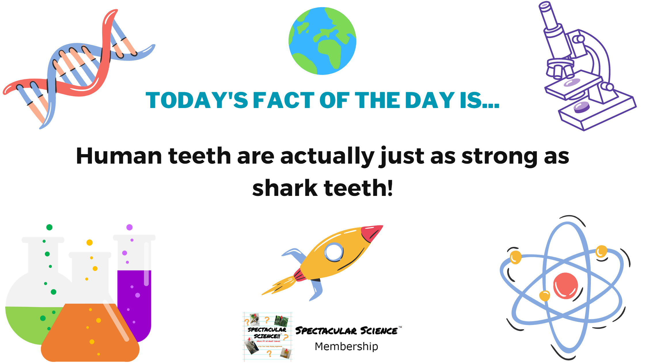Fact of the Day Image June 10th