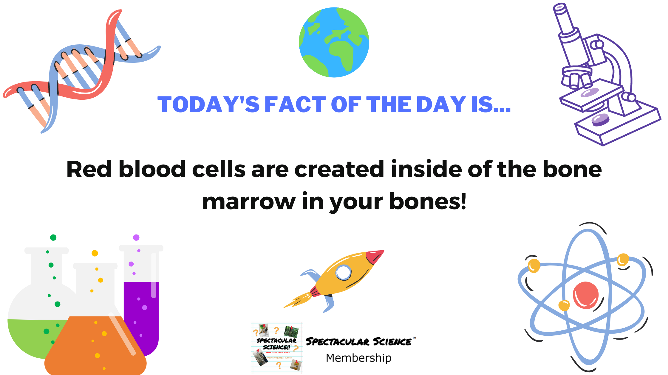 Fact of the Day Image June 10th