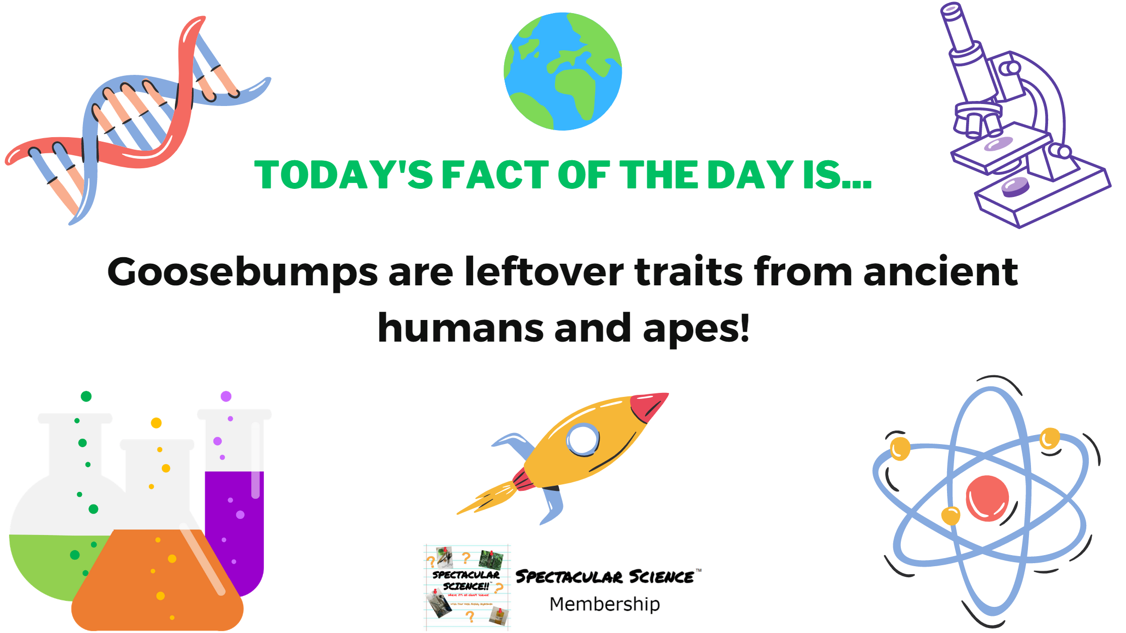 Fact of the Day Image June 12th