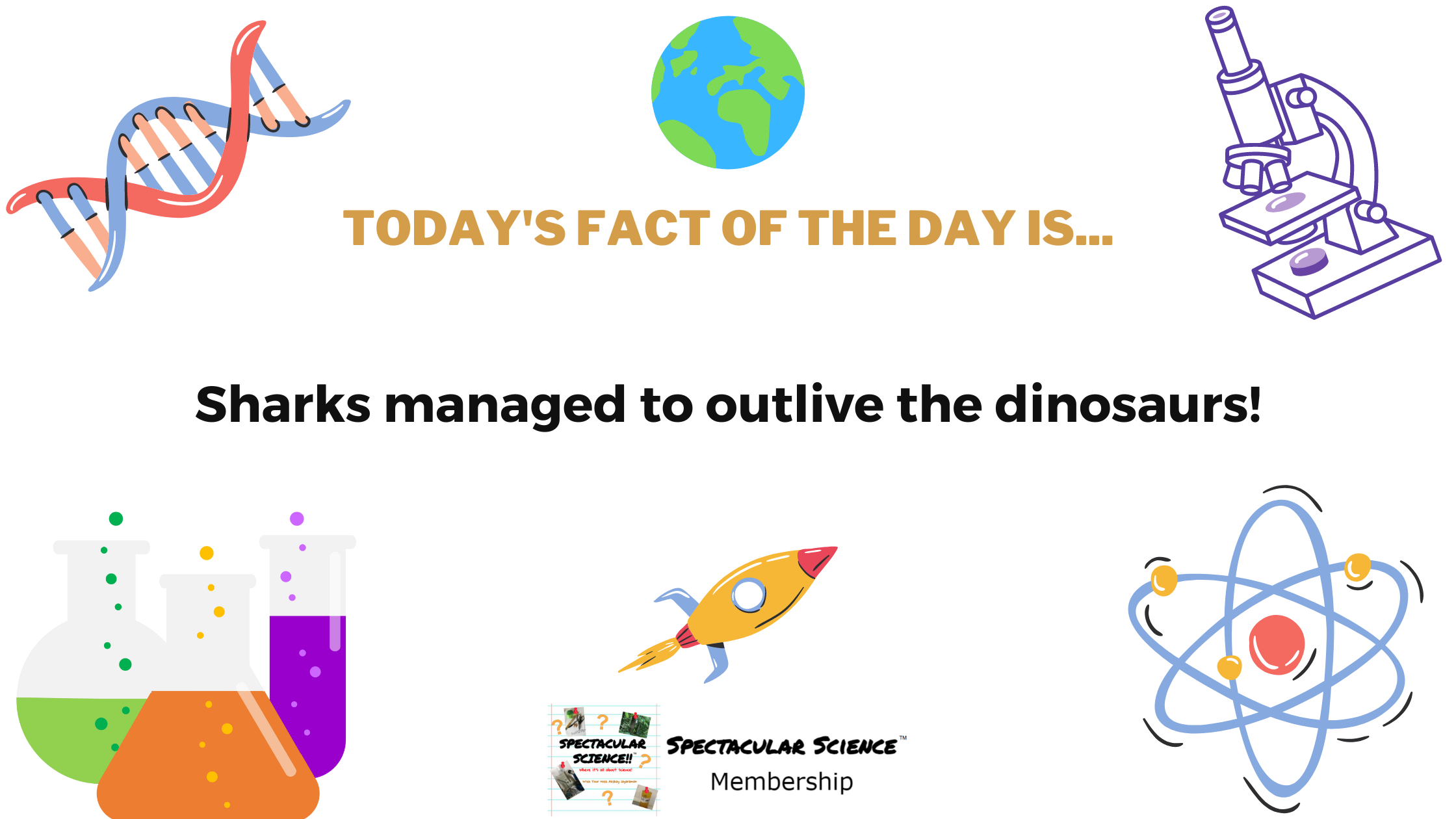 Fact of the Day Image June 13th