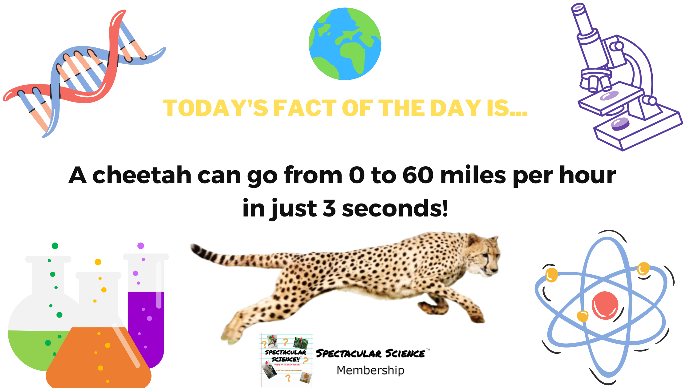 Fact of the Day Image June 16th