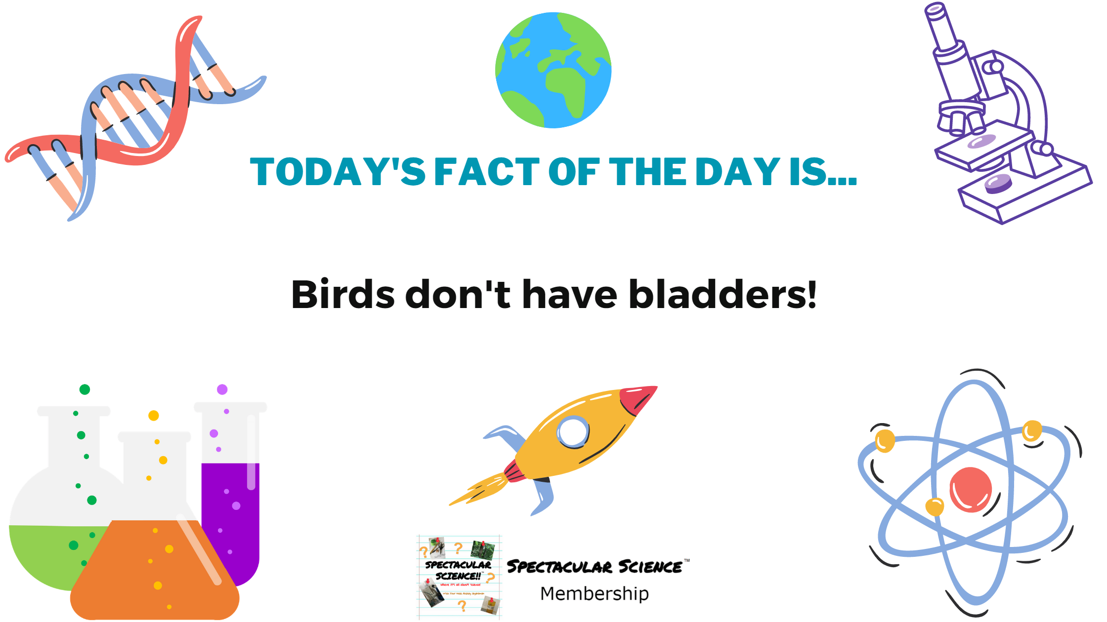 Fact of the Day Image June 2nd