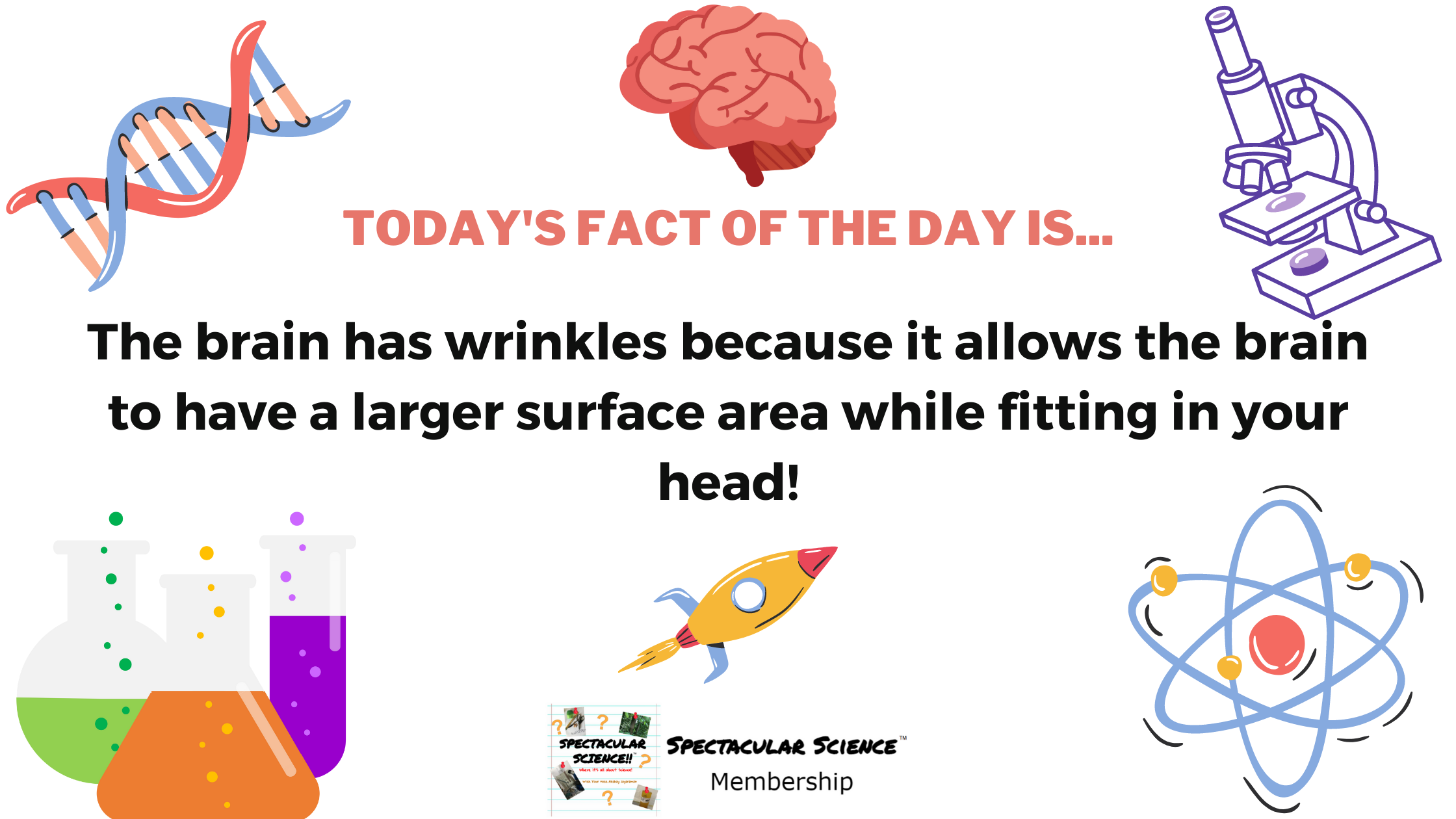Fact of the Day Image June 2nd