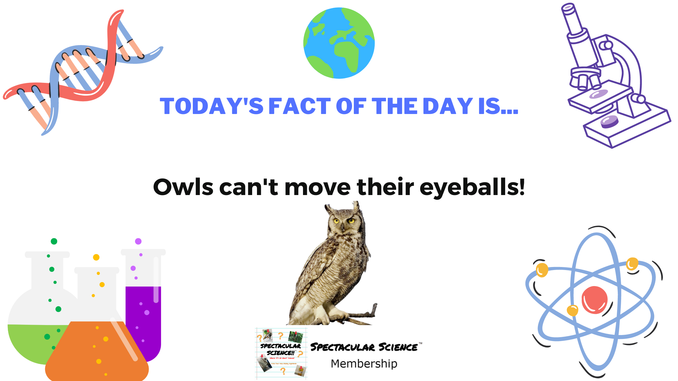 Fact of the Day Image June 29th