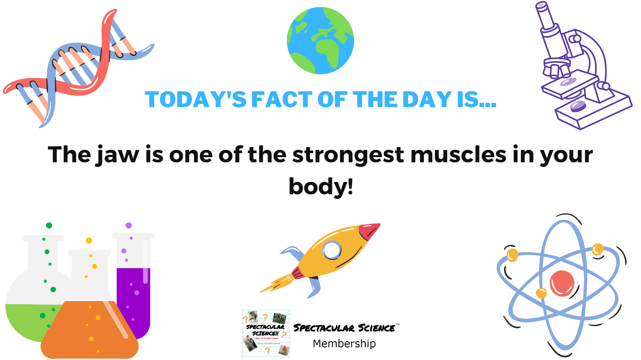 Fact of the Day Image June 4th
