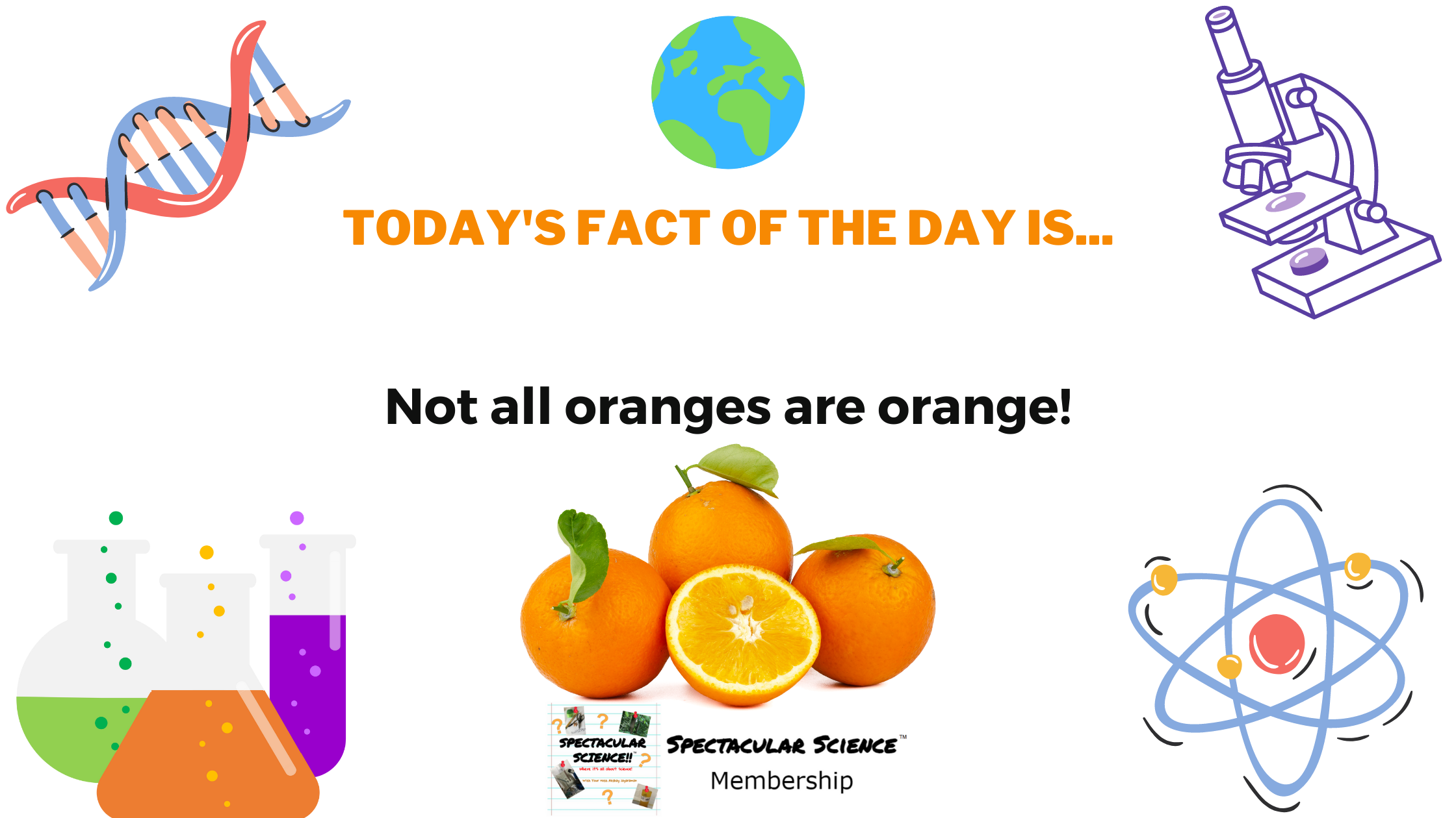 Fact of the Day Image June 5th