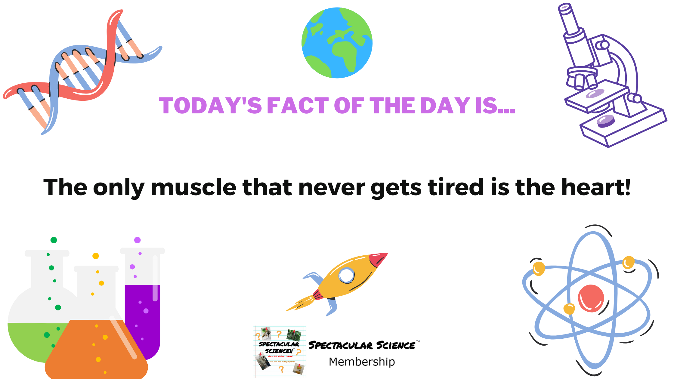 Fact of the Day Image June 8th