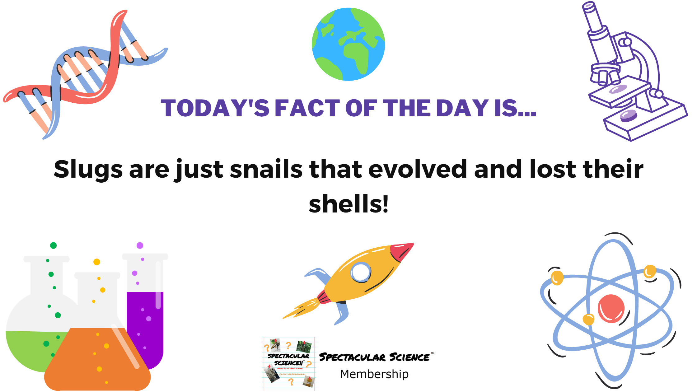 Fact of the Day Image March 1st