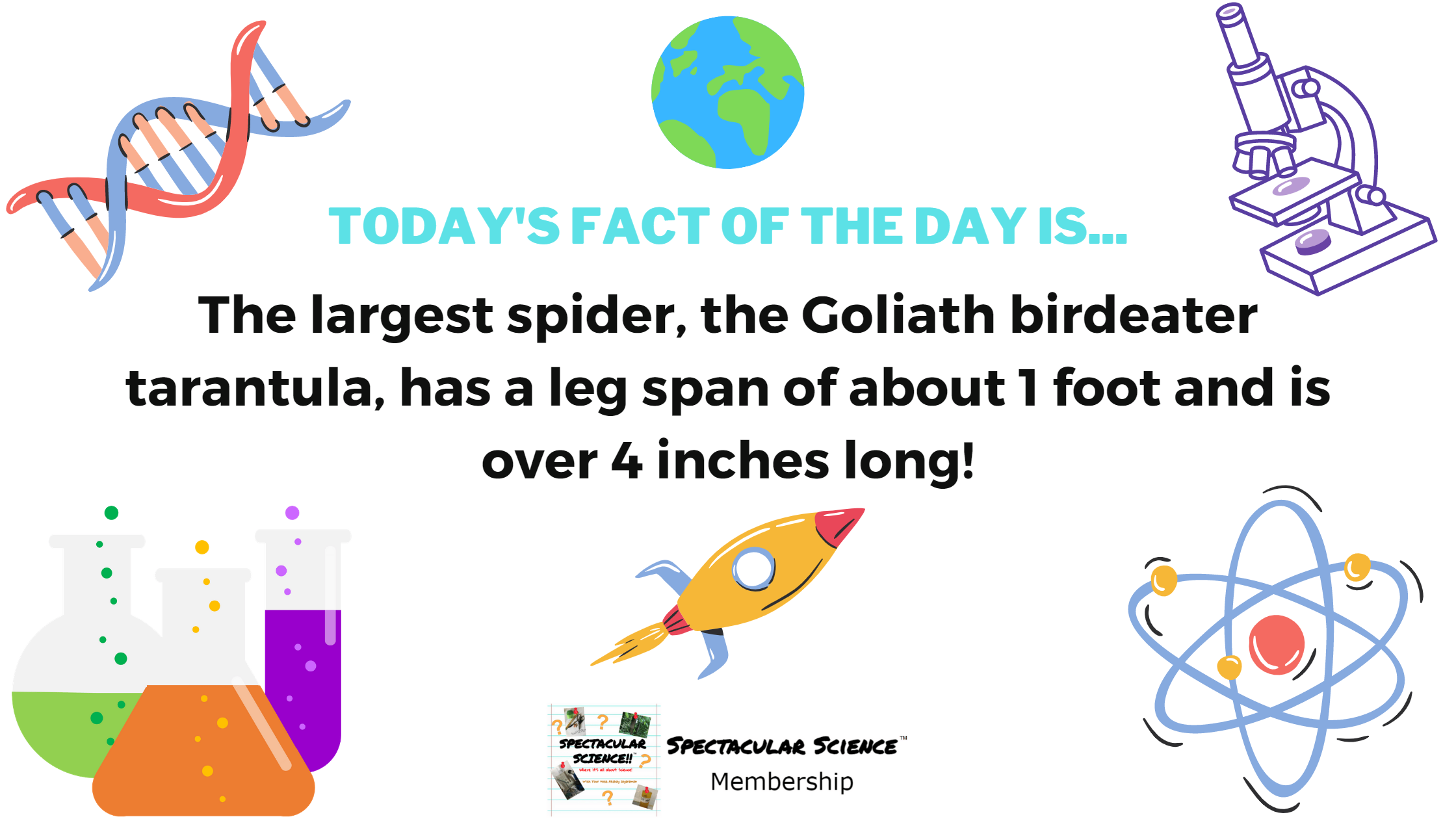 Fact of the Day Image March 12th