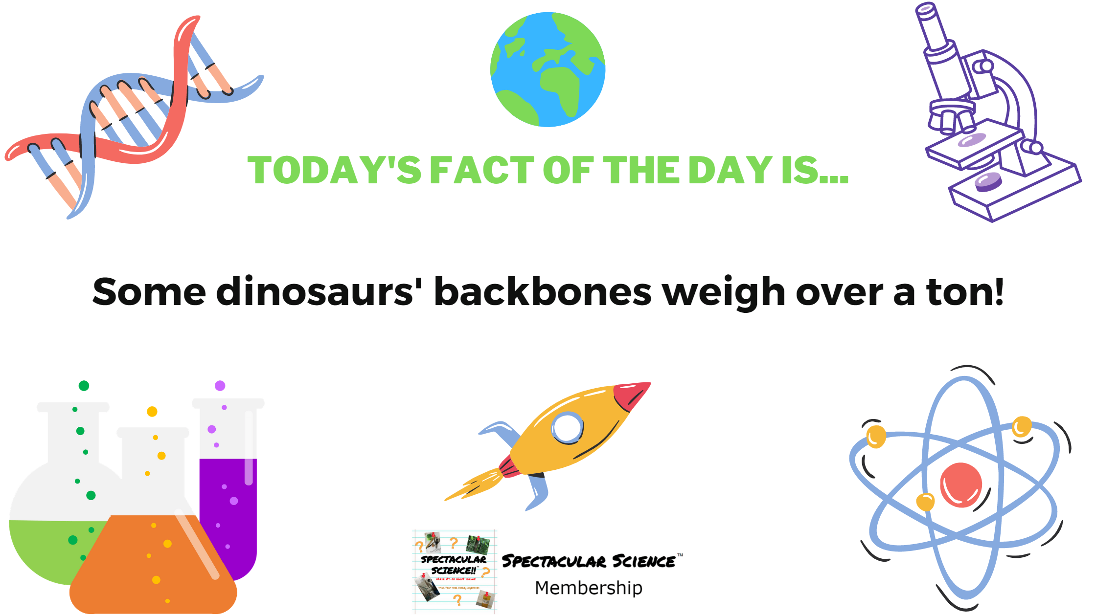 Fact of the Day Image March 14th