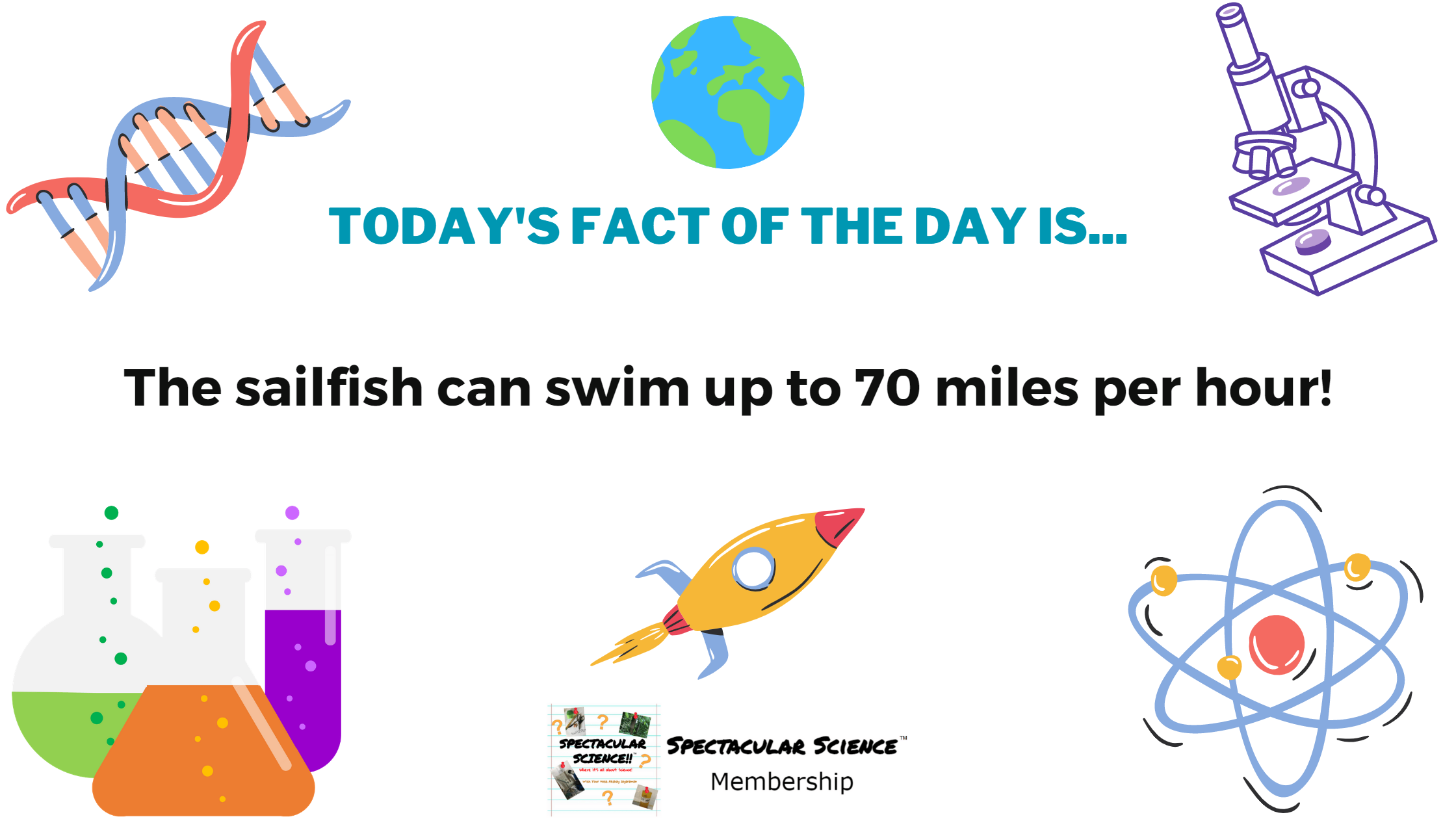 Fact of the Day Image March 15th