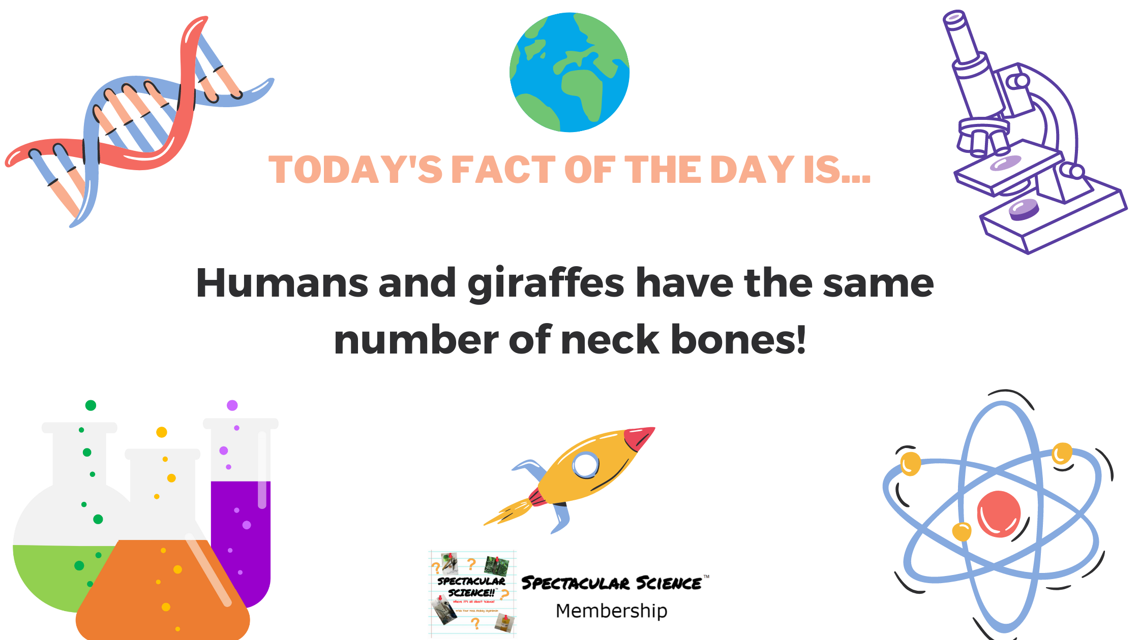 Fact of the Day Image Mar. 15th