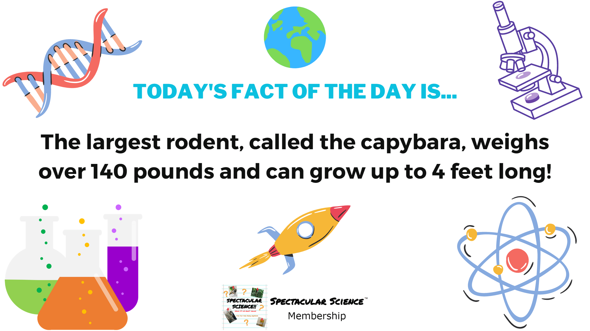 Fact of the Day Image March 18th