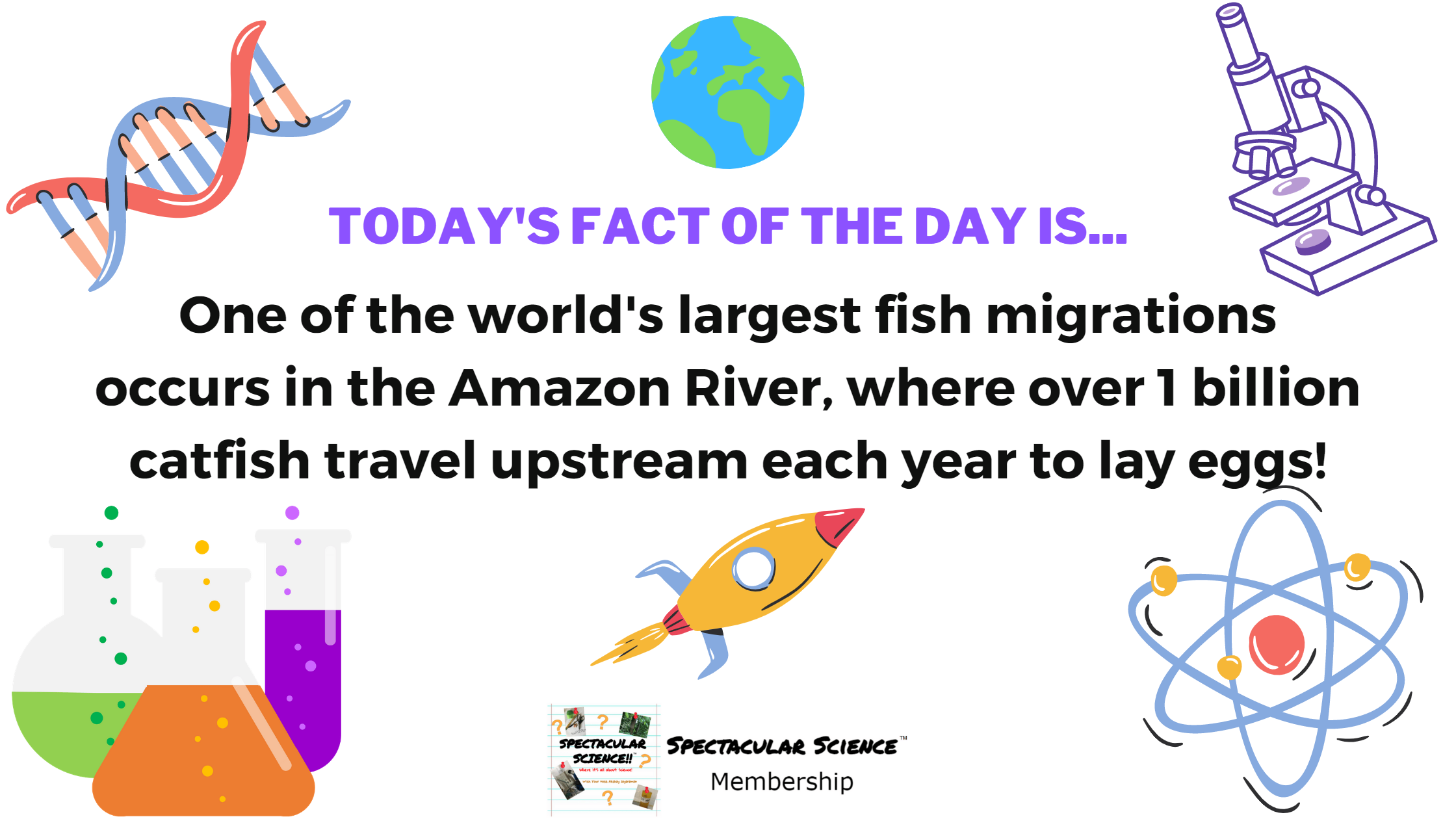 Fact of the Day Image March 20th