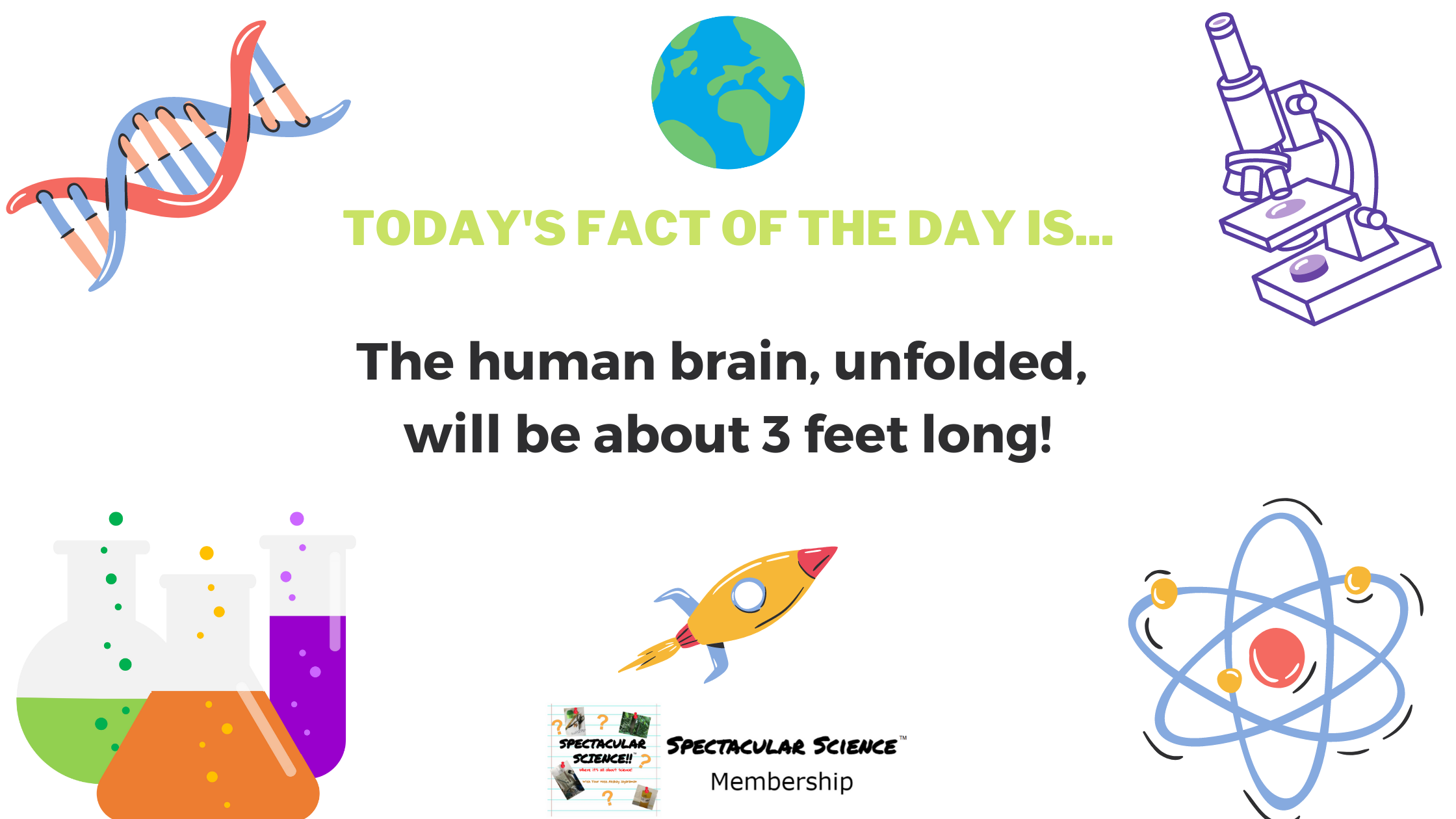 Fact of the Day Image Mar. 20th