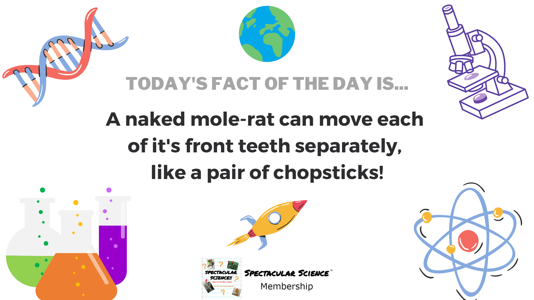 Fact of the Day Image Mar. 25th