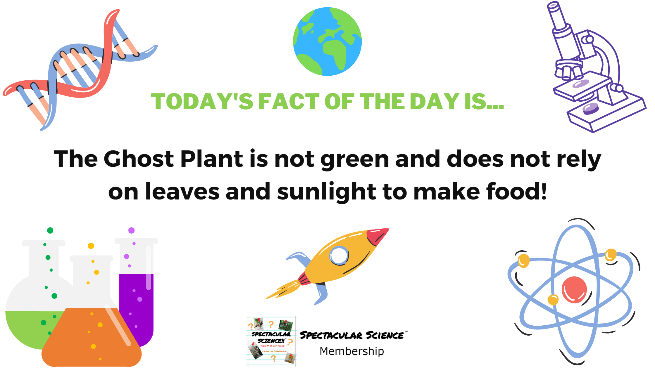 Fact of the Day Image March 3rd