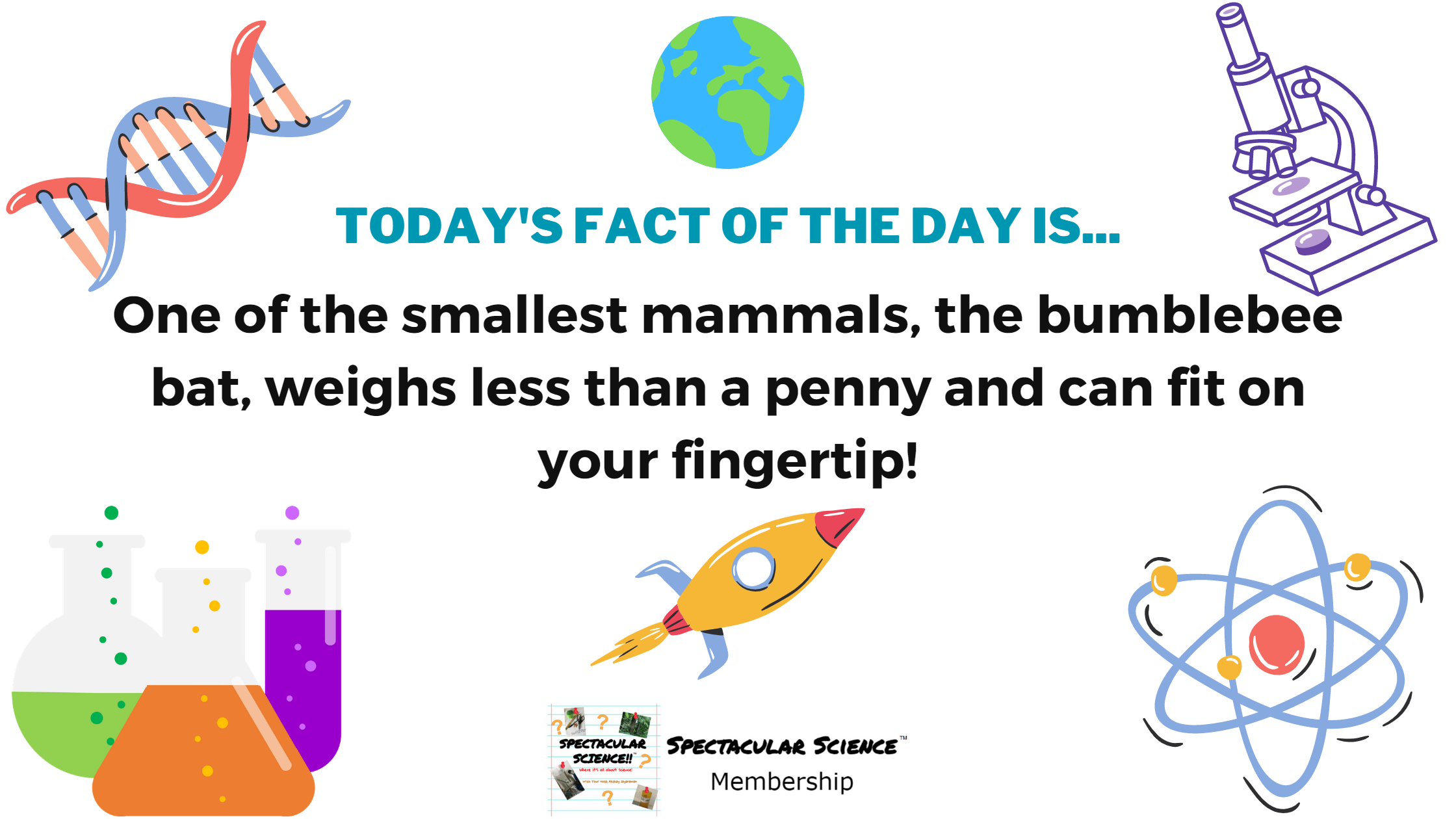 Fact of the Day Image March 7th