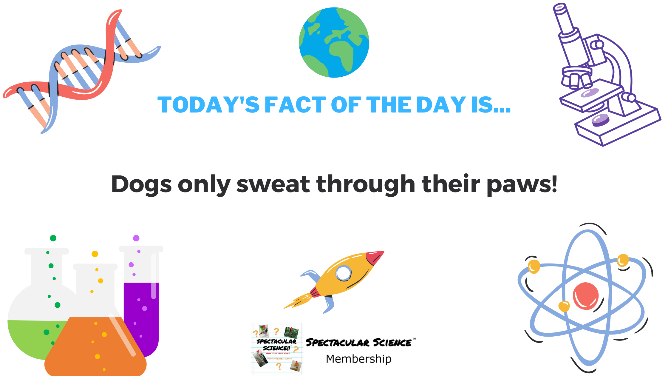 Fact of the Day Image May 10th