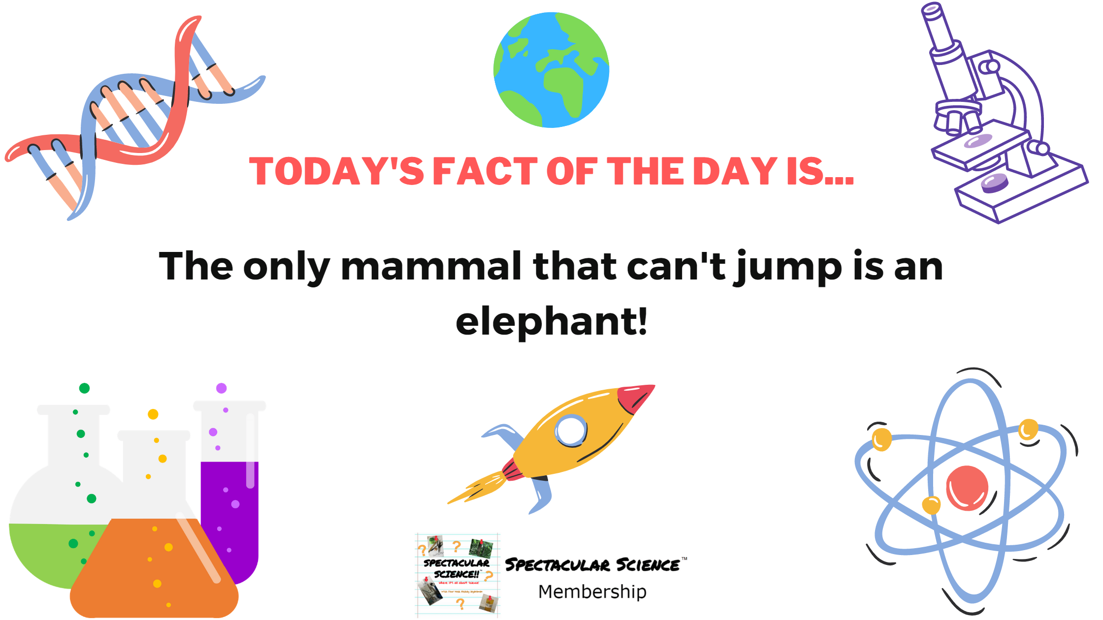 Fact of the Day Image May 21
