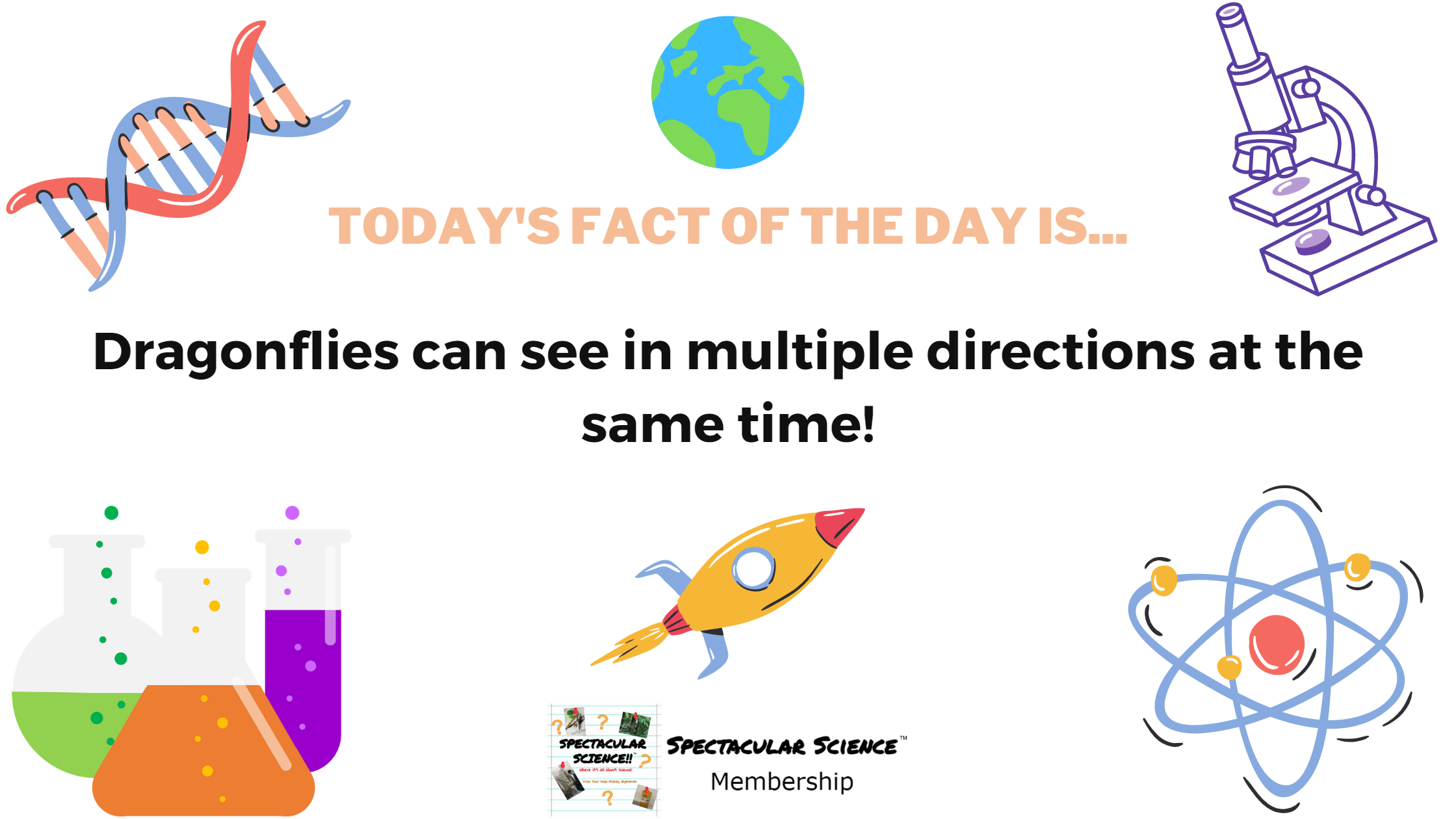 Fact of the Day Image May 24th