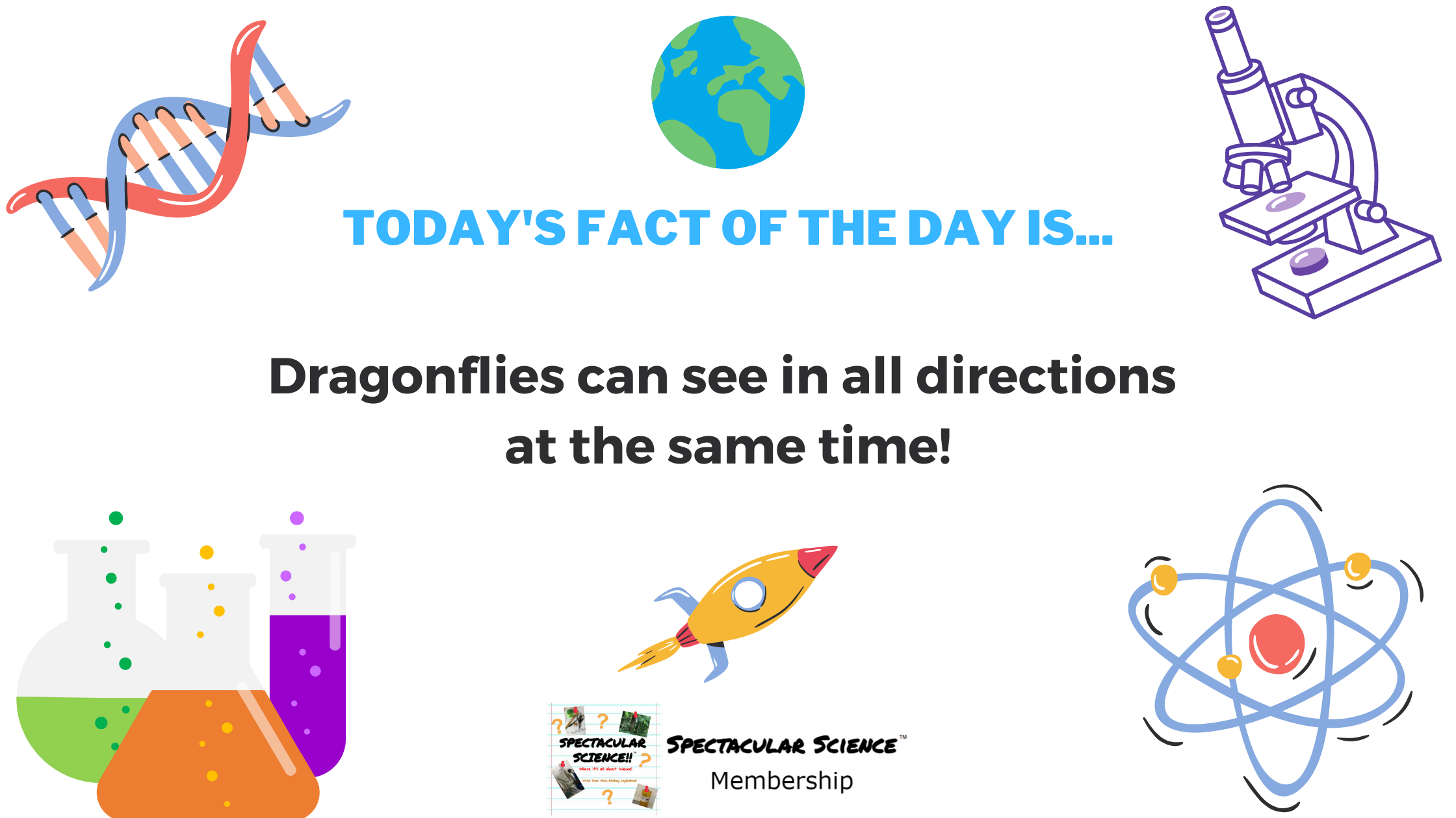 Fact of the Day Image May 28th