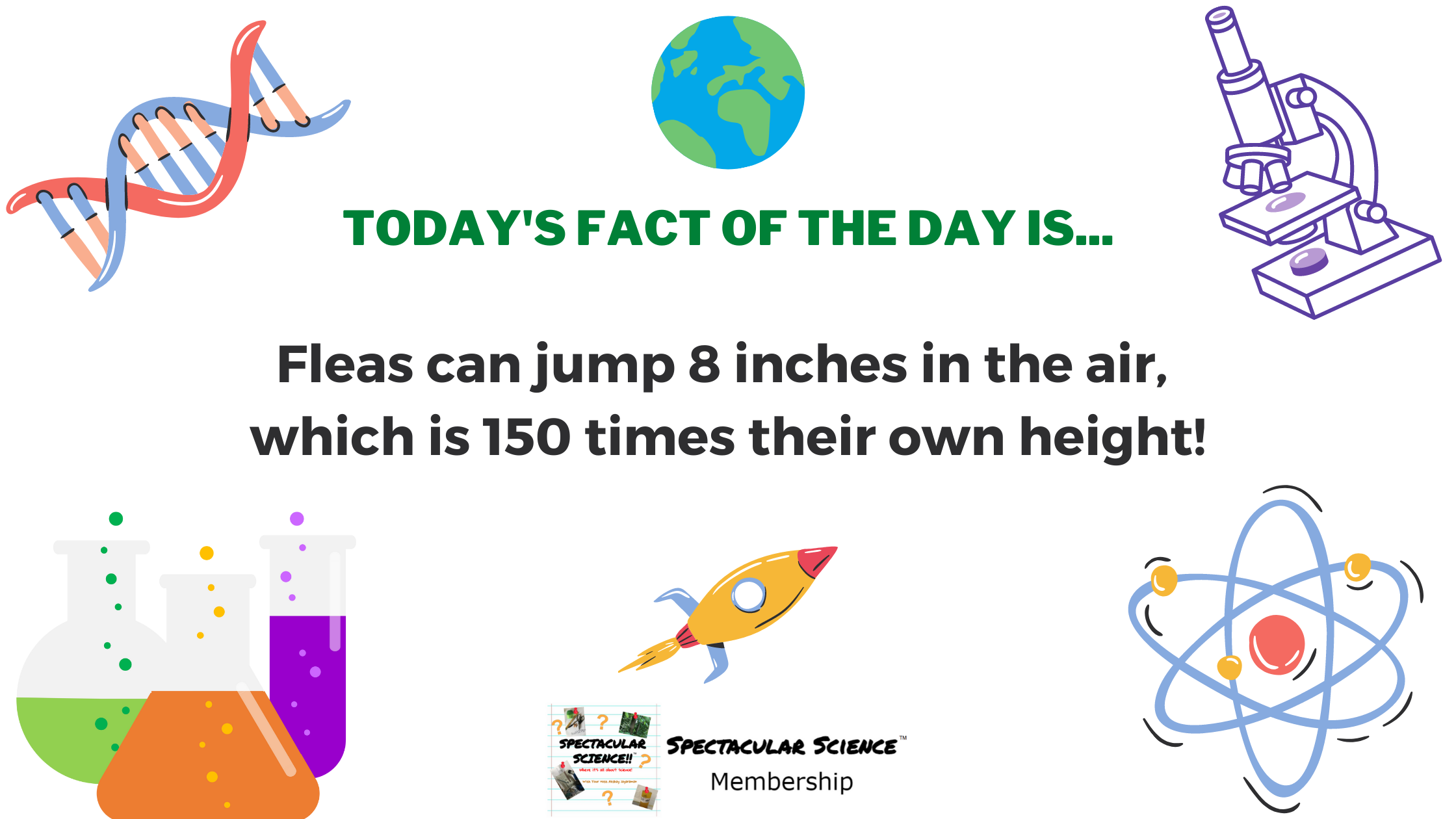 Fact of the Day Image May 7th