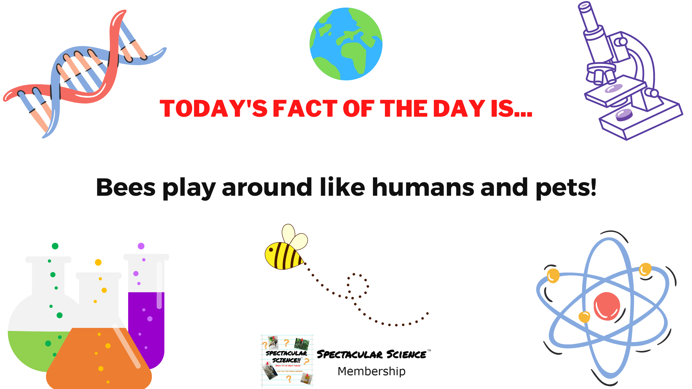 Fact of the Day Image November 1st
