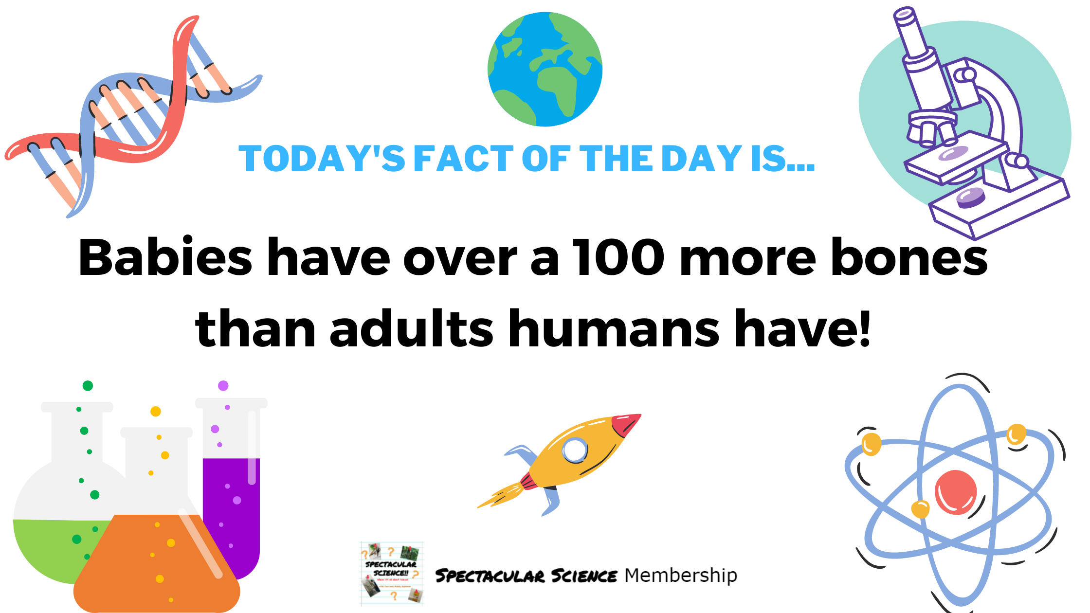 Fact of the Day Image Nov. 10th