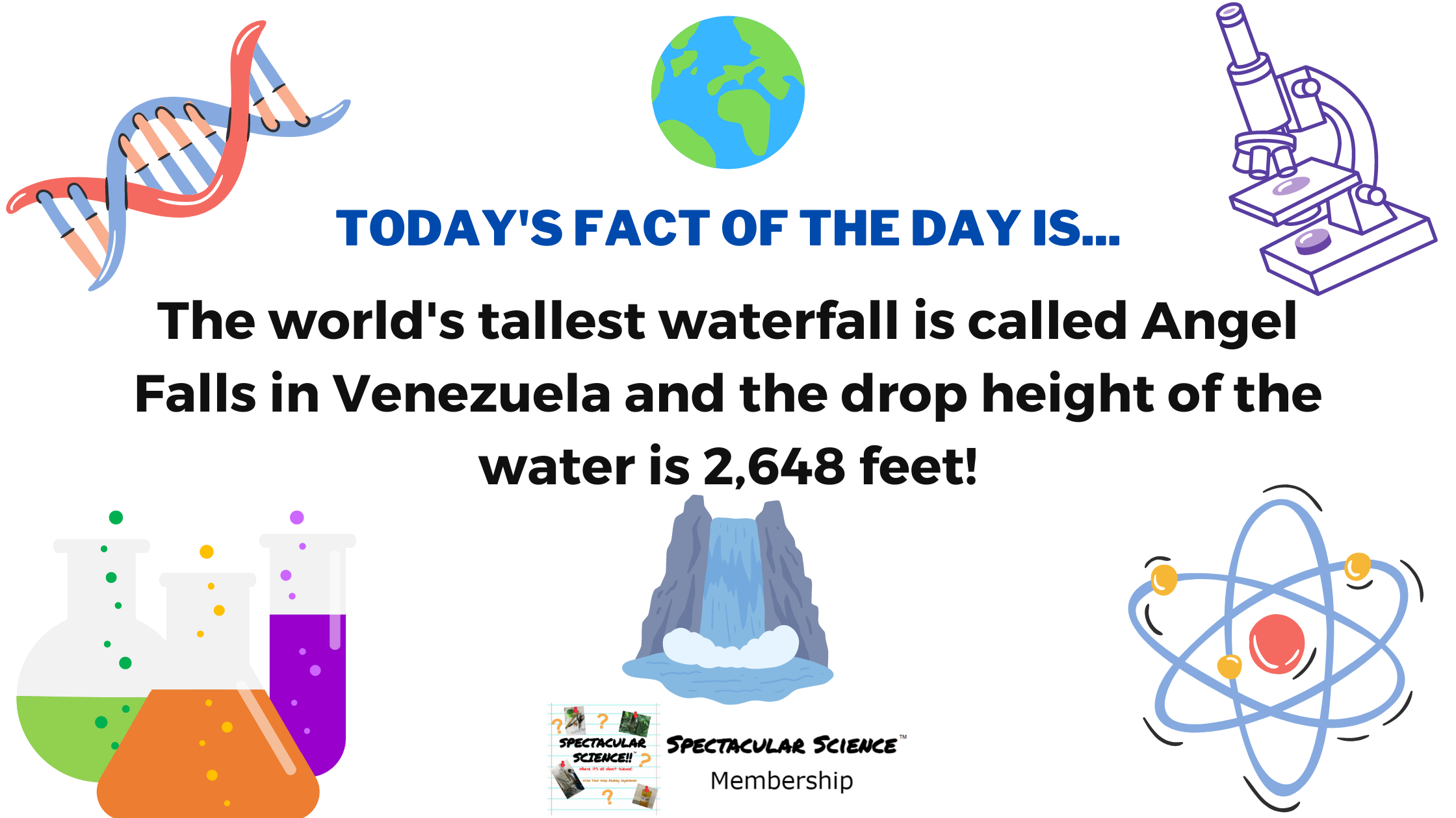 Fact of the Day Image November 11th