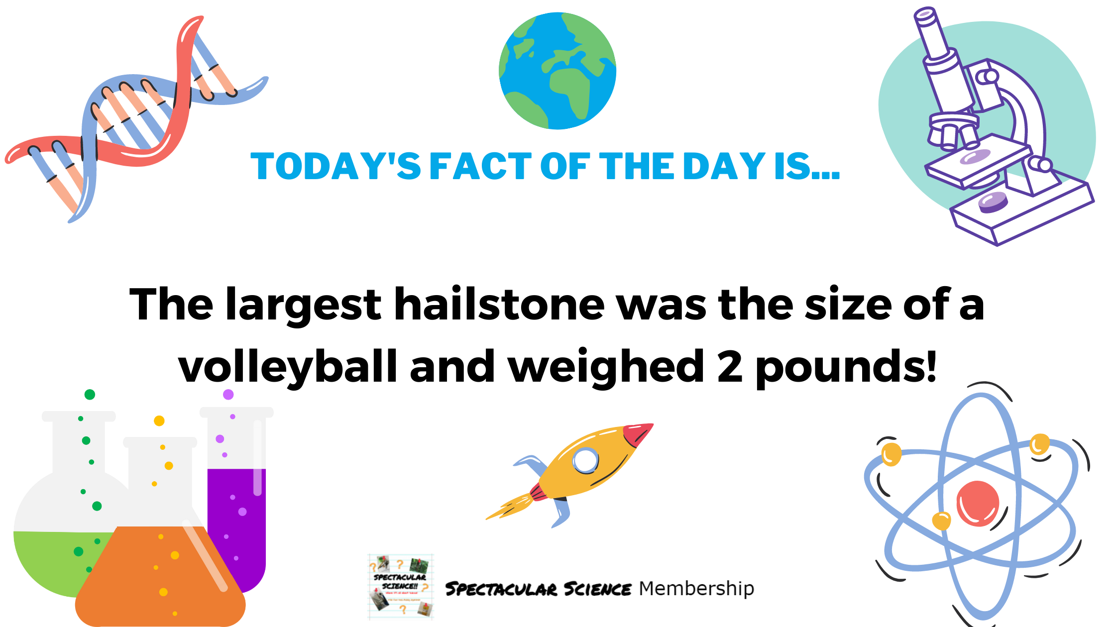 Fact of the Day Image Nov. 12th