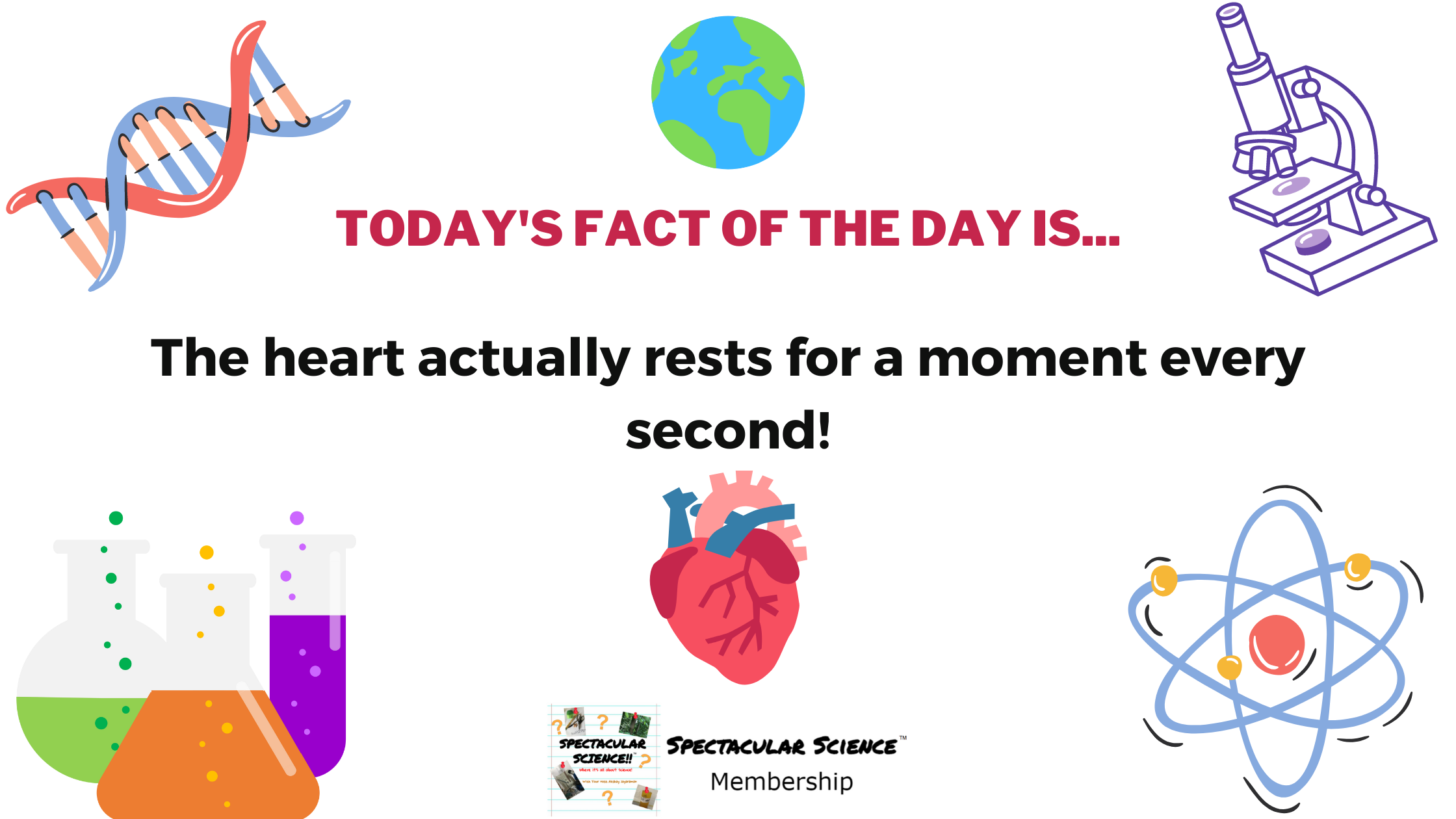 Fact of the Day Image November 13th