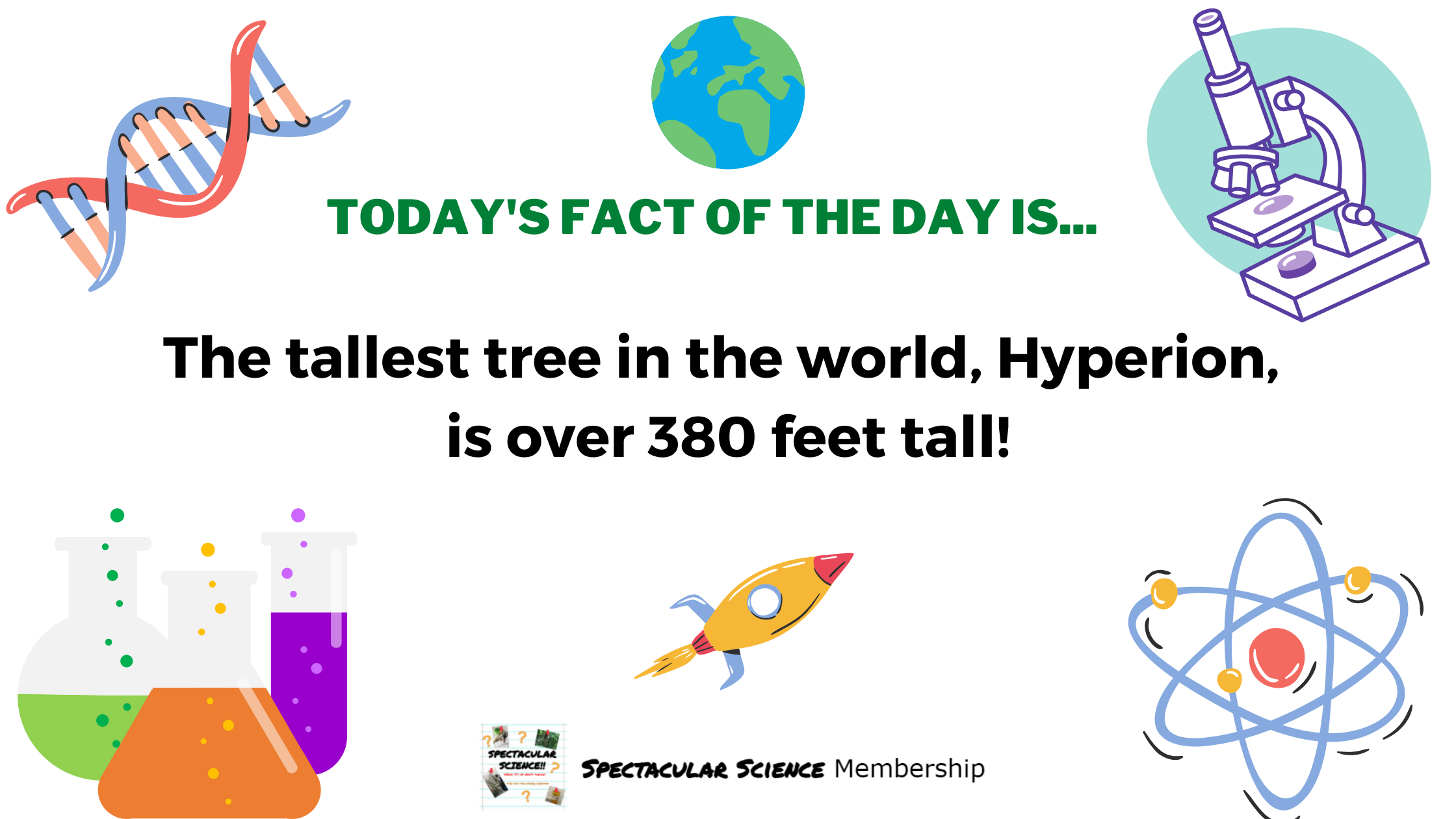 Fact of the Day Image Nov. 14th