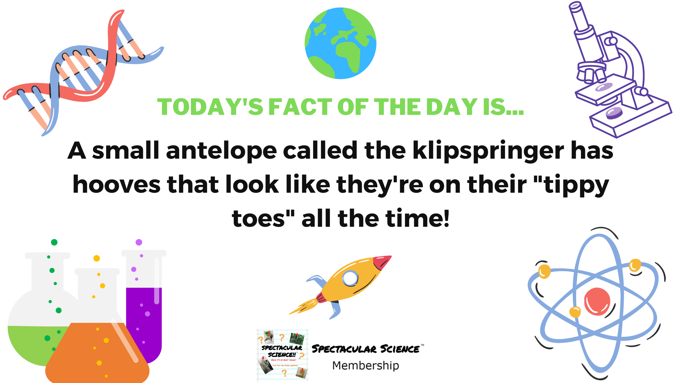 Fact of the Day Image November 17th