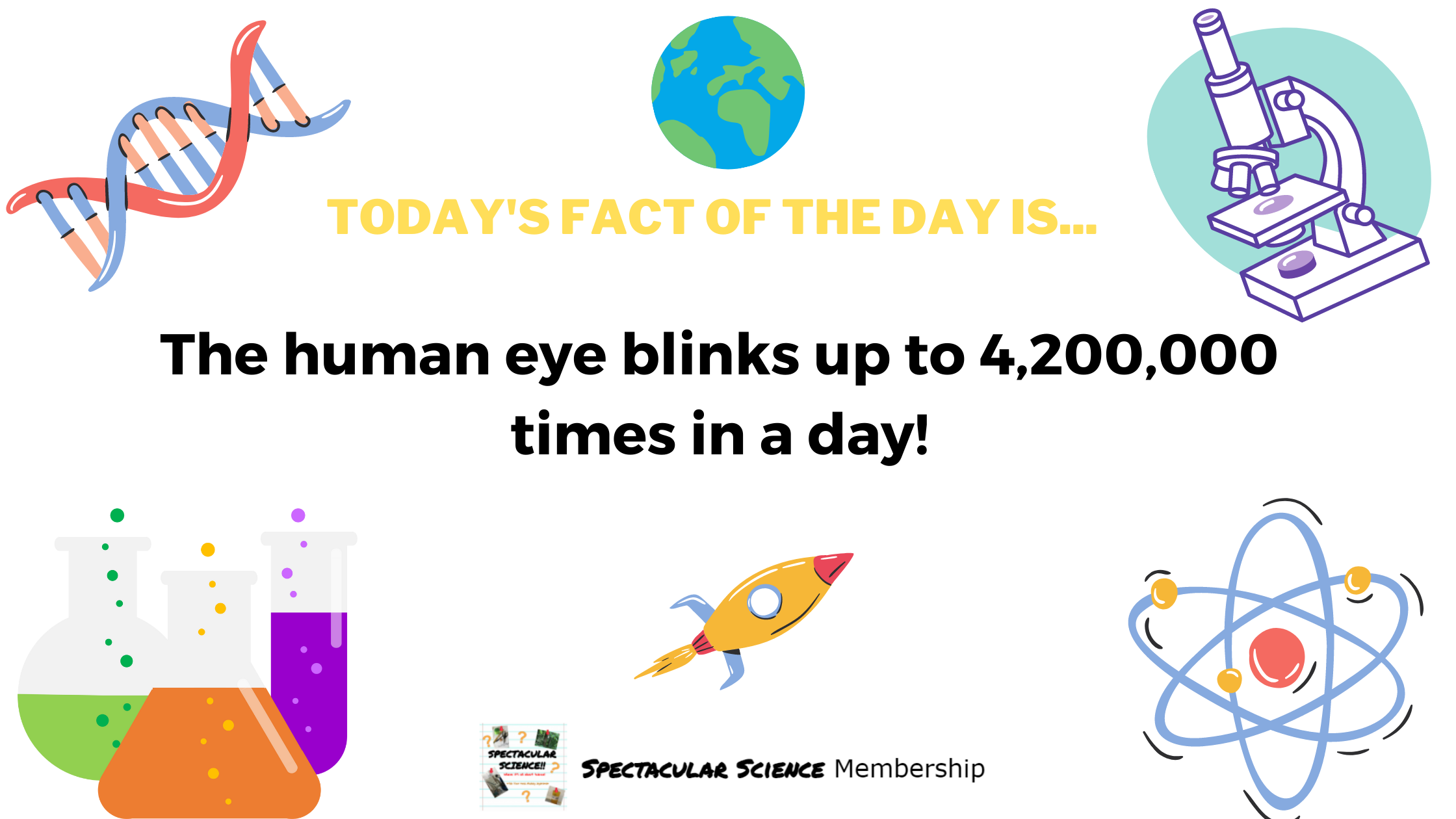 Fact of the Day Image Nov. 17th