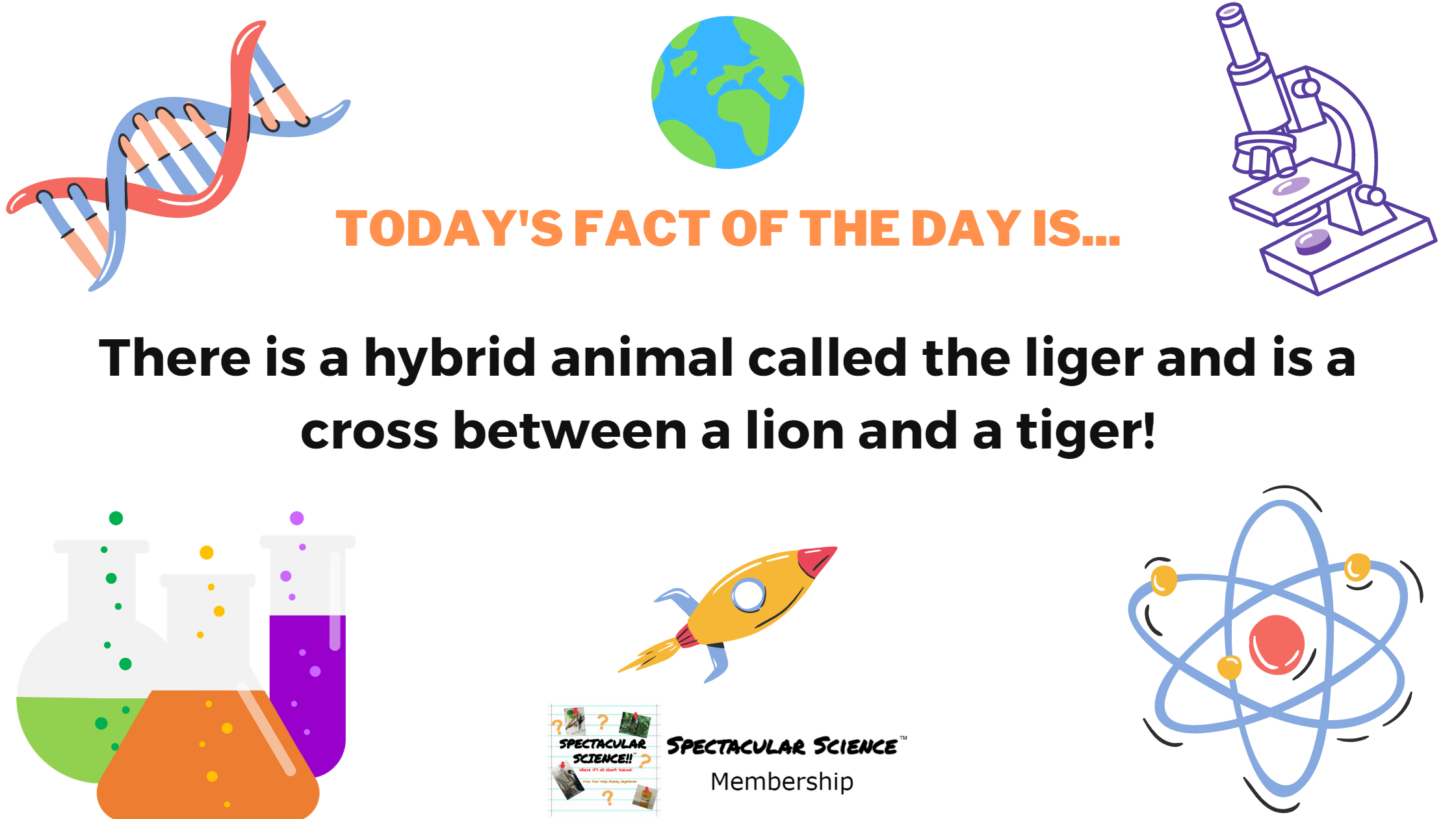 Fact of the Day Image November 20th