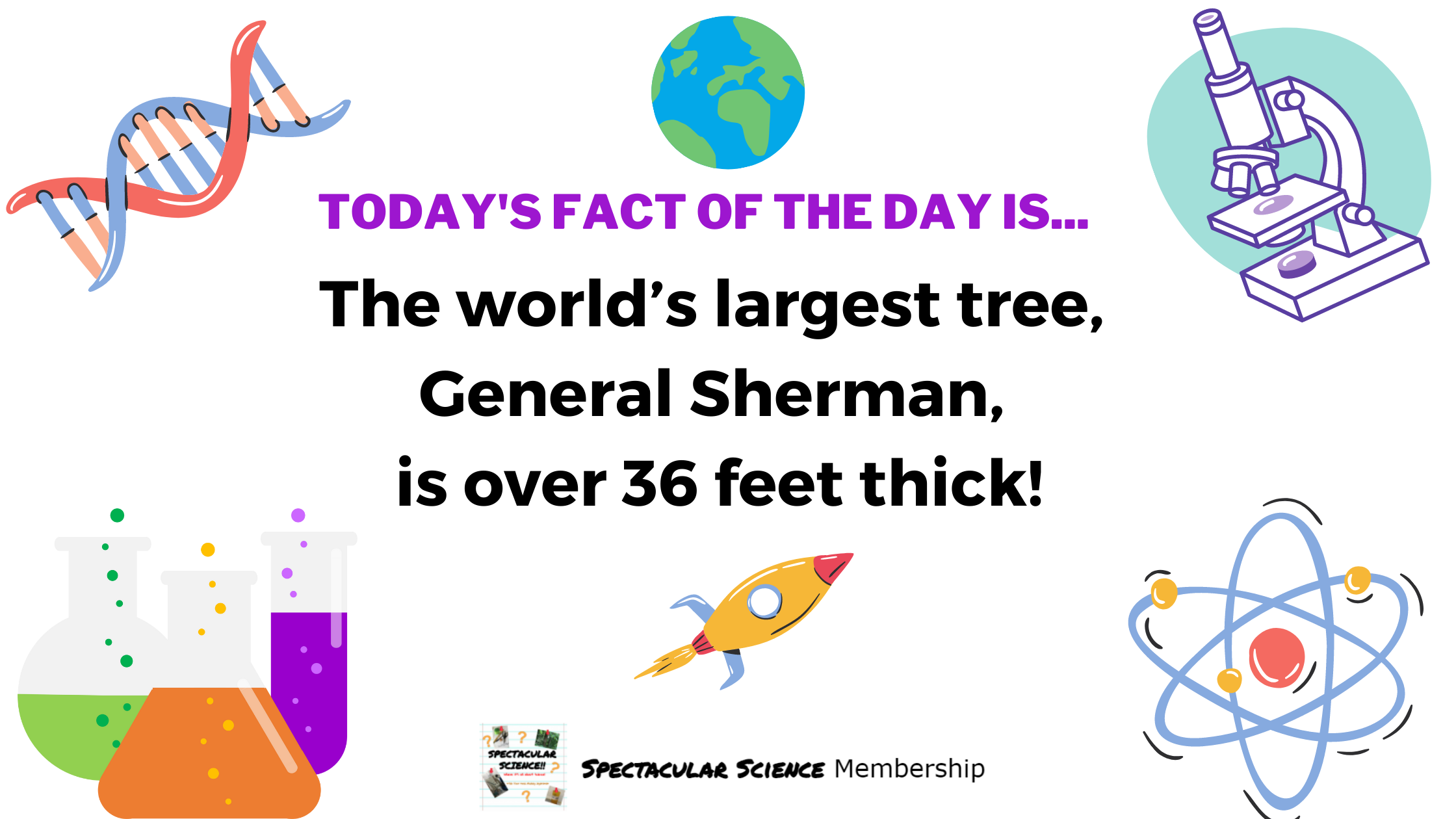 Fact of the Day Image Nov. 20th