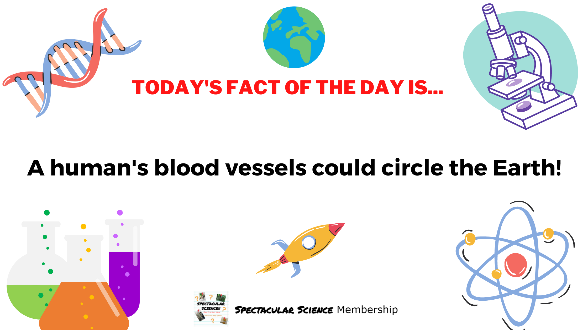 Fact of the Day Image Nov. 25th