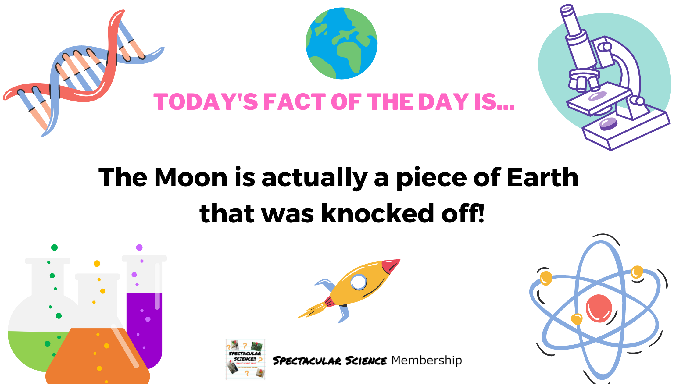 Fact of the Day Image Nov. 26th