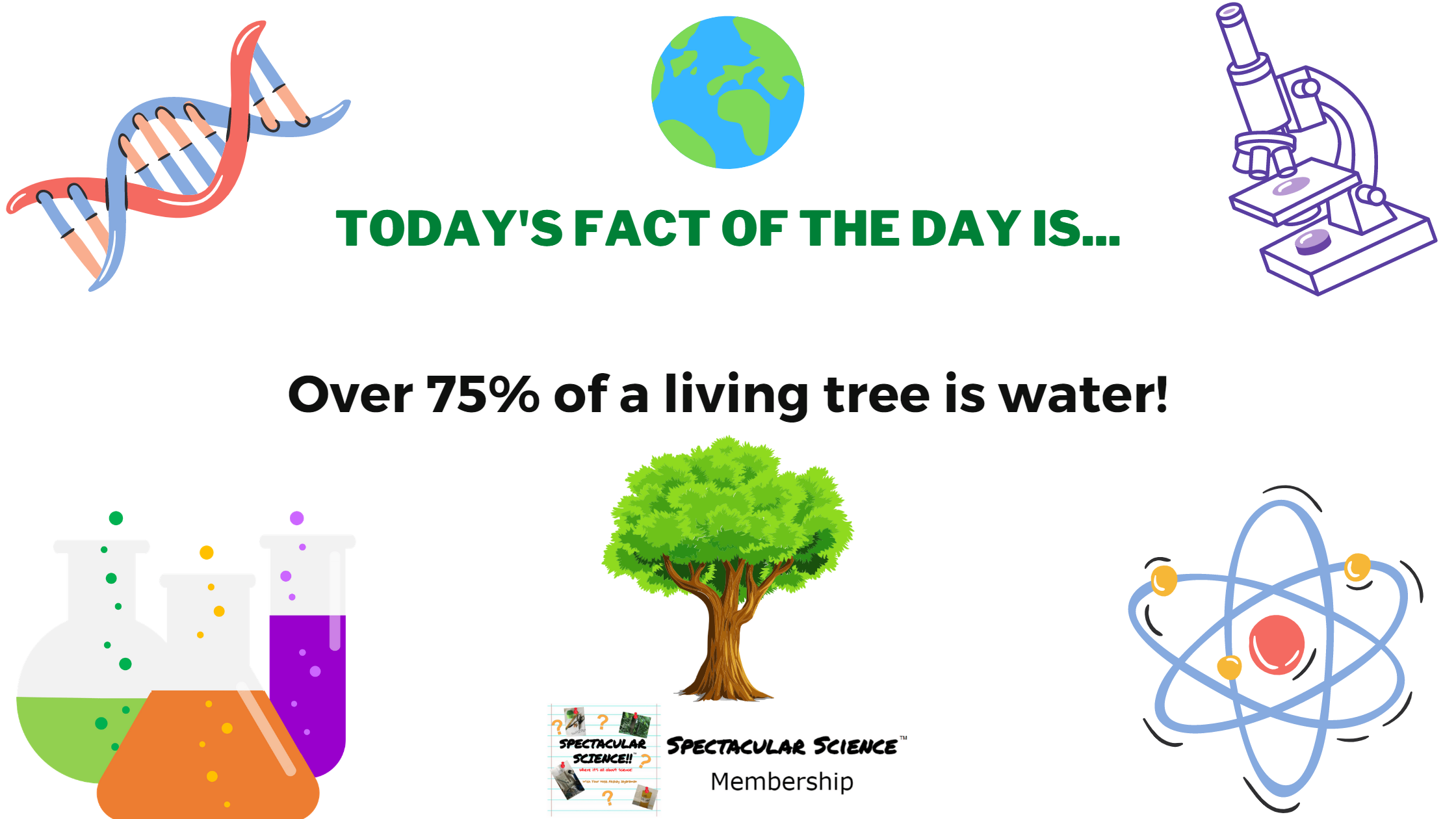 Fact of the Day Image November 27th