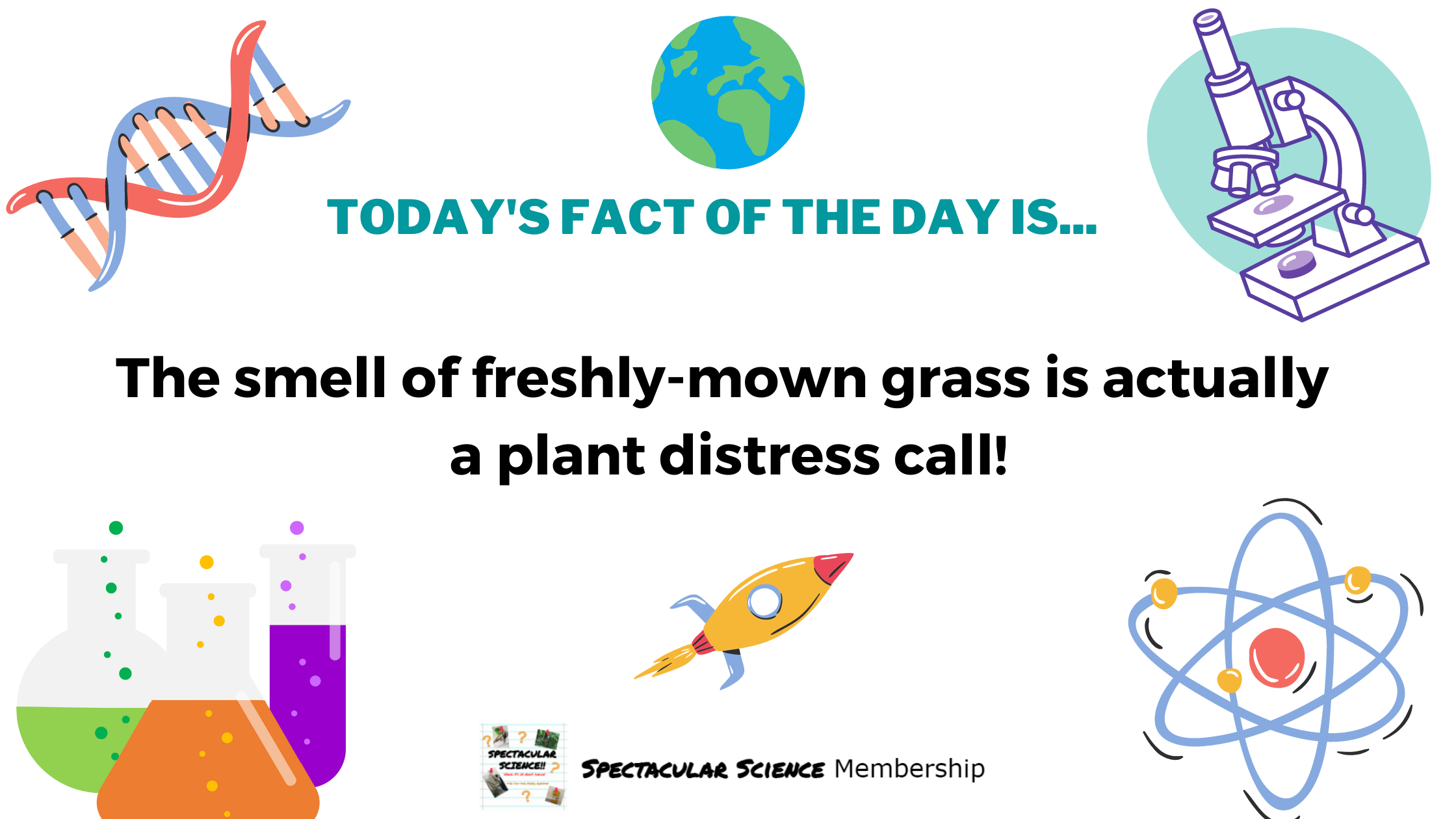 Fact of the Day Image Nov. 27th