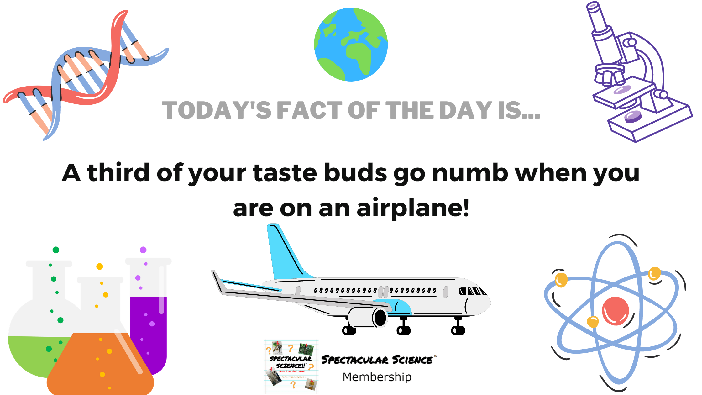 Fact of the Day Image November 28th