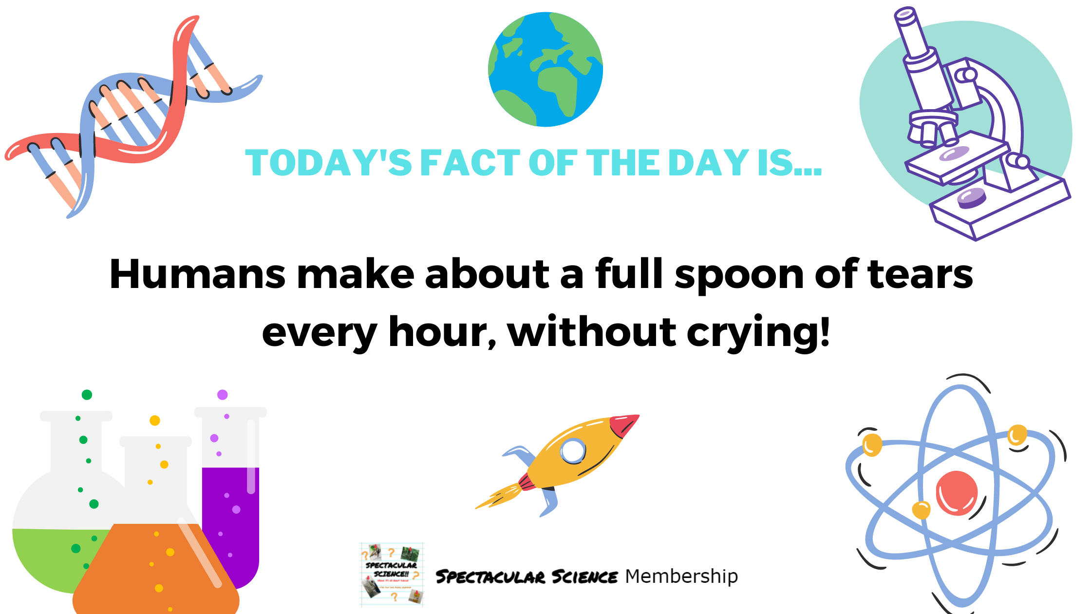 Fact of the Day Image Nov. 30th
